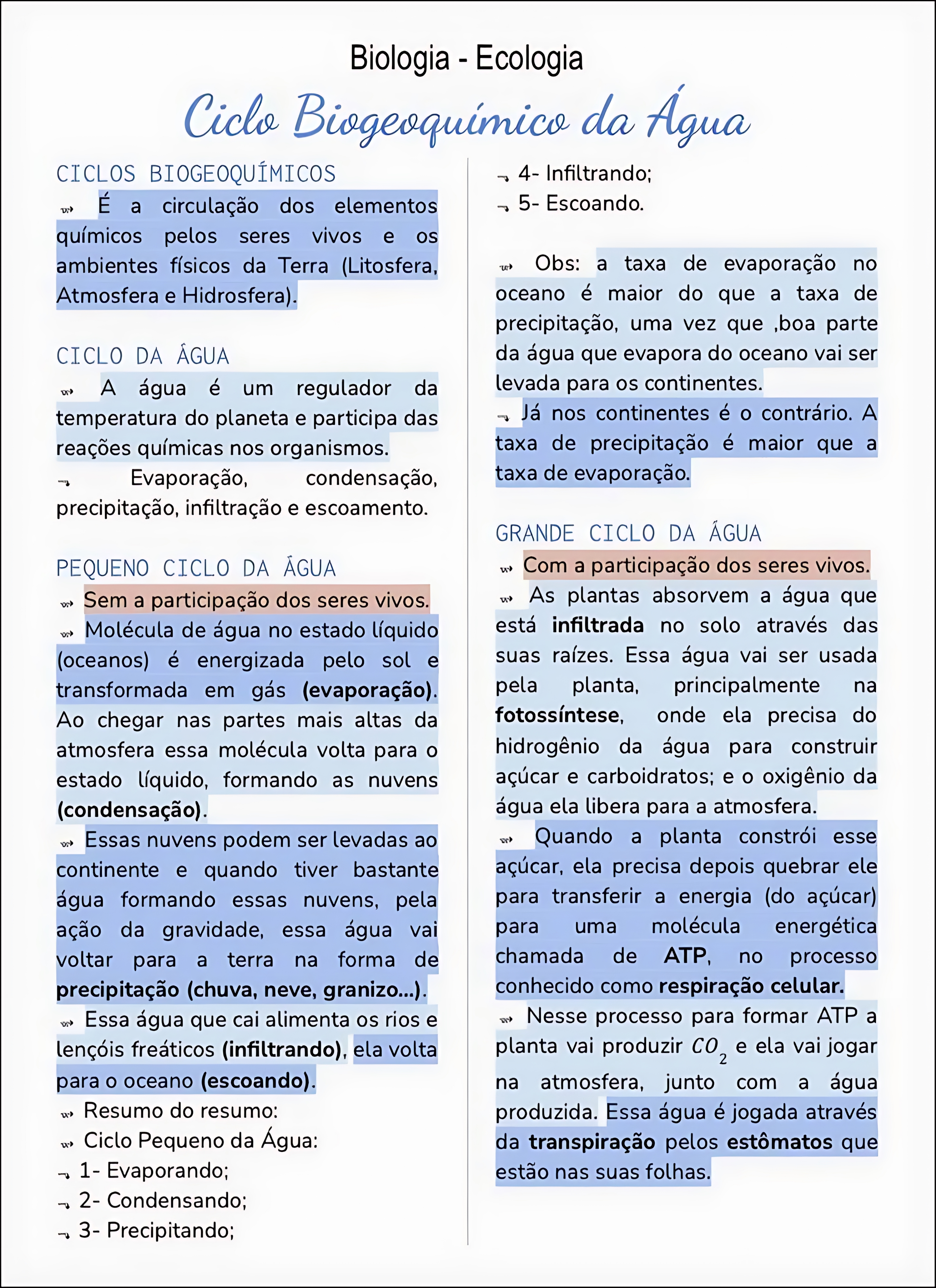 MAPA MENTAL SOBRE CICLO DA ÁGUA
