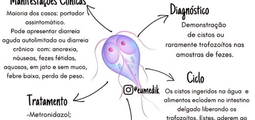 MAPA MENTAL SOBRE GIARDÍASE