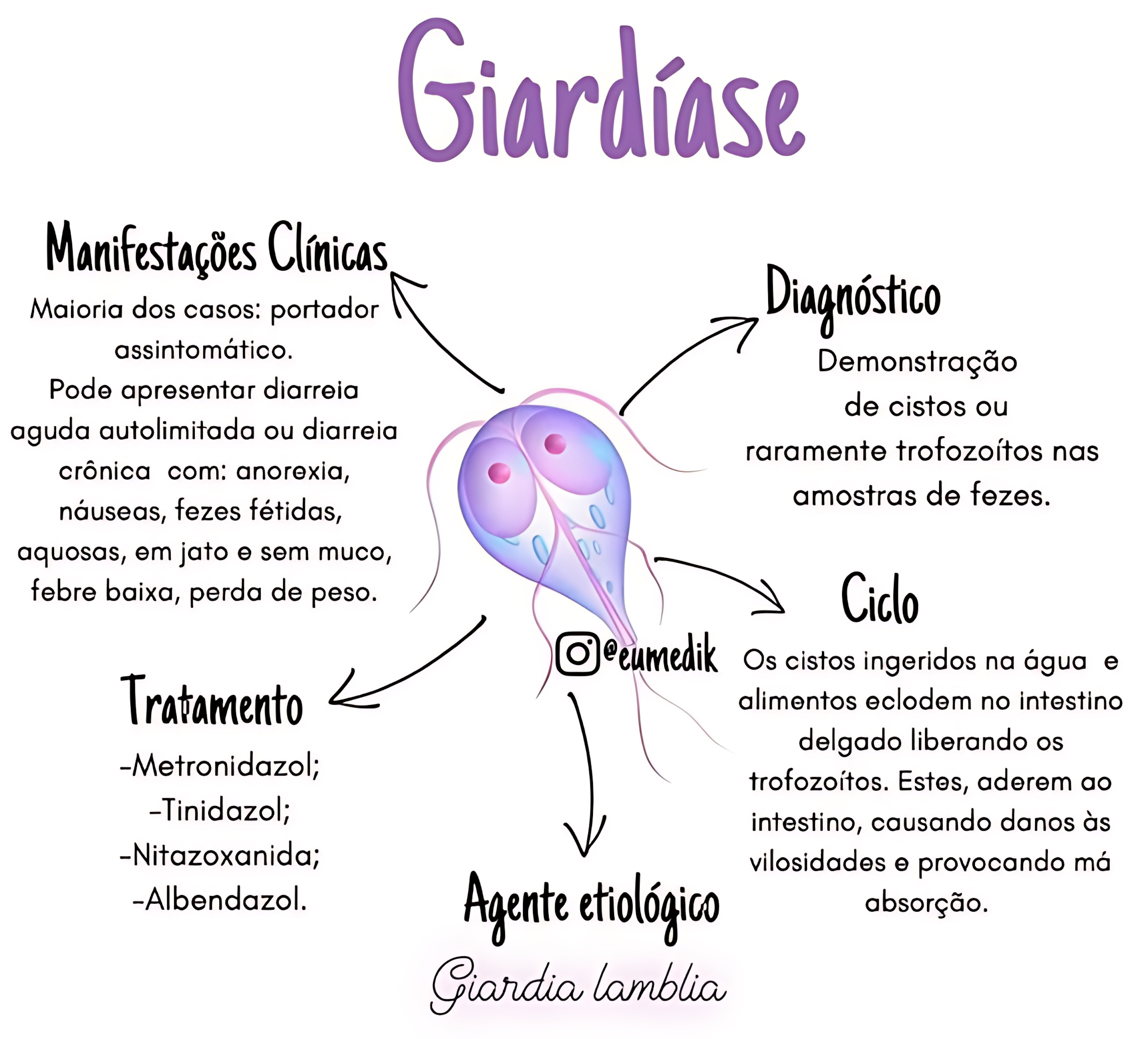 MAPA MENTAL SOBRE GIARDÍASE