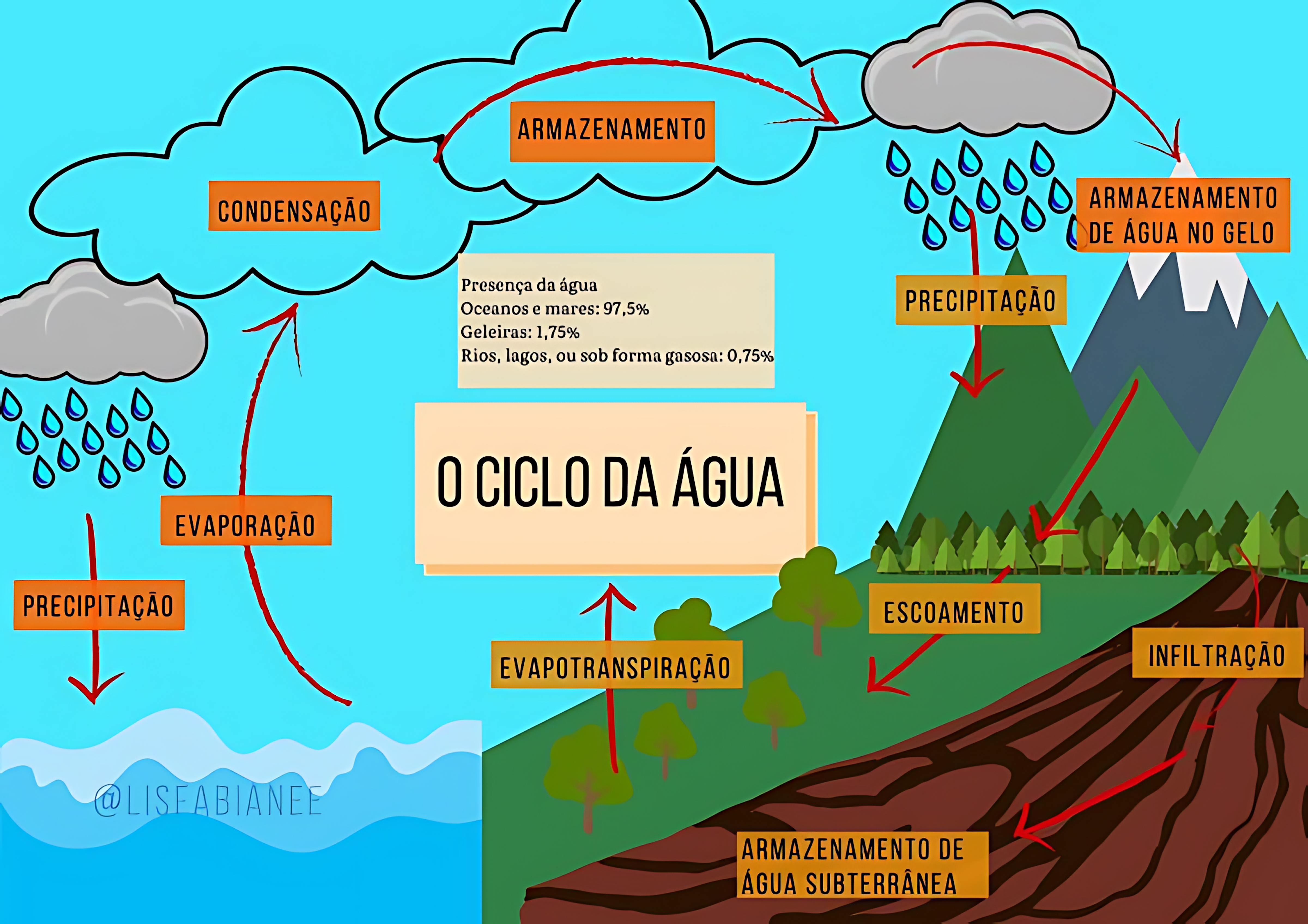 MAPA MENTAL SOBRE CICLO DA ÁGUA