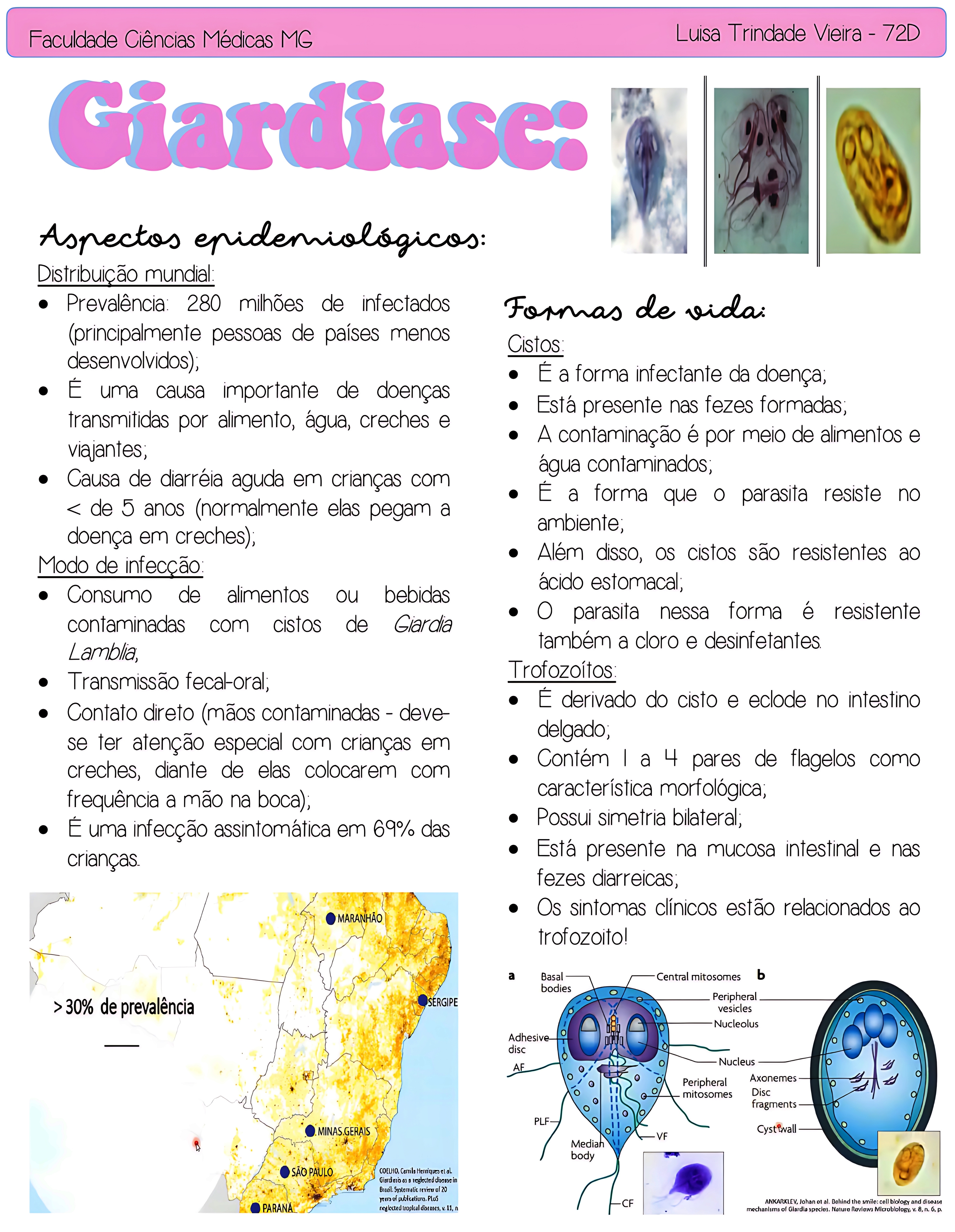 MAPA MENTAL SOBRE GIARDÍASE