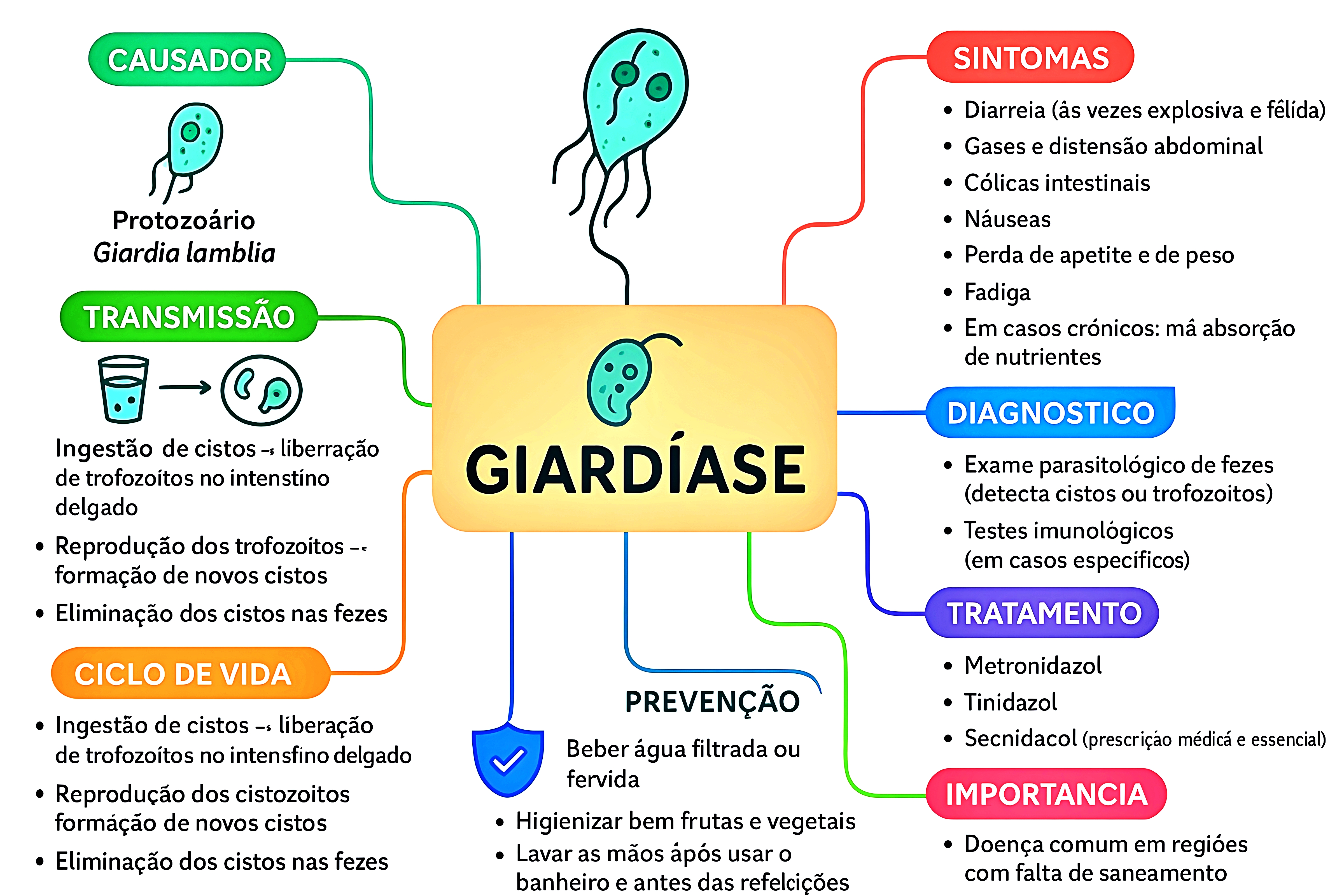 MAPA MENTAL SOBRE GIARDÍASE