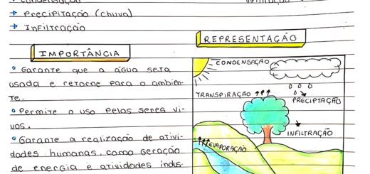 MAPA MENTAL SOBRE CICLO DA ÁGUA