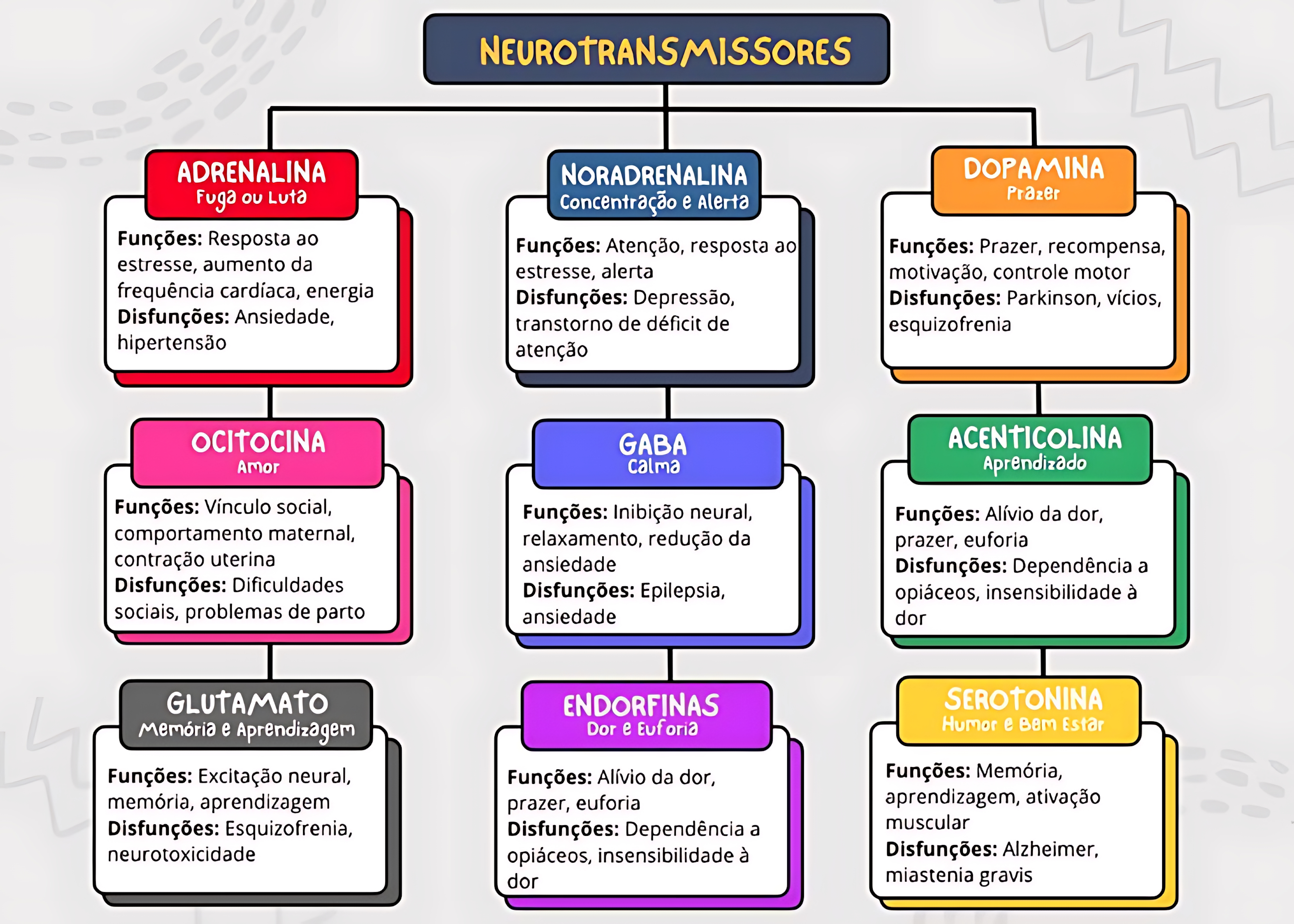 MAPA MENTAL SOBRE NEUROTRANSMISSORES