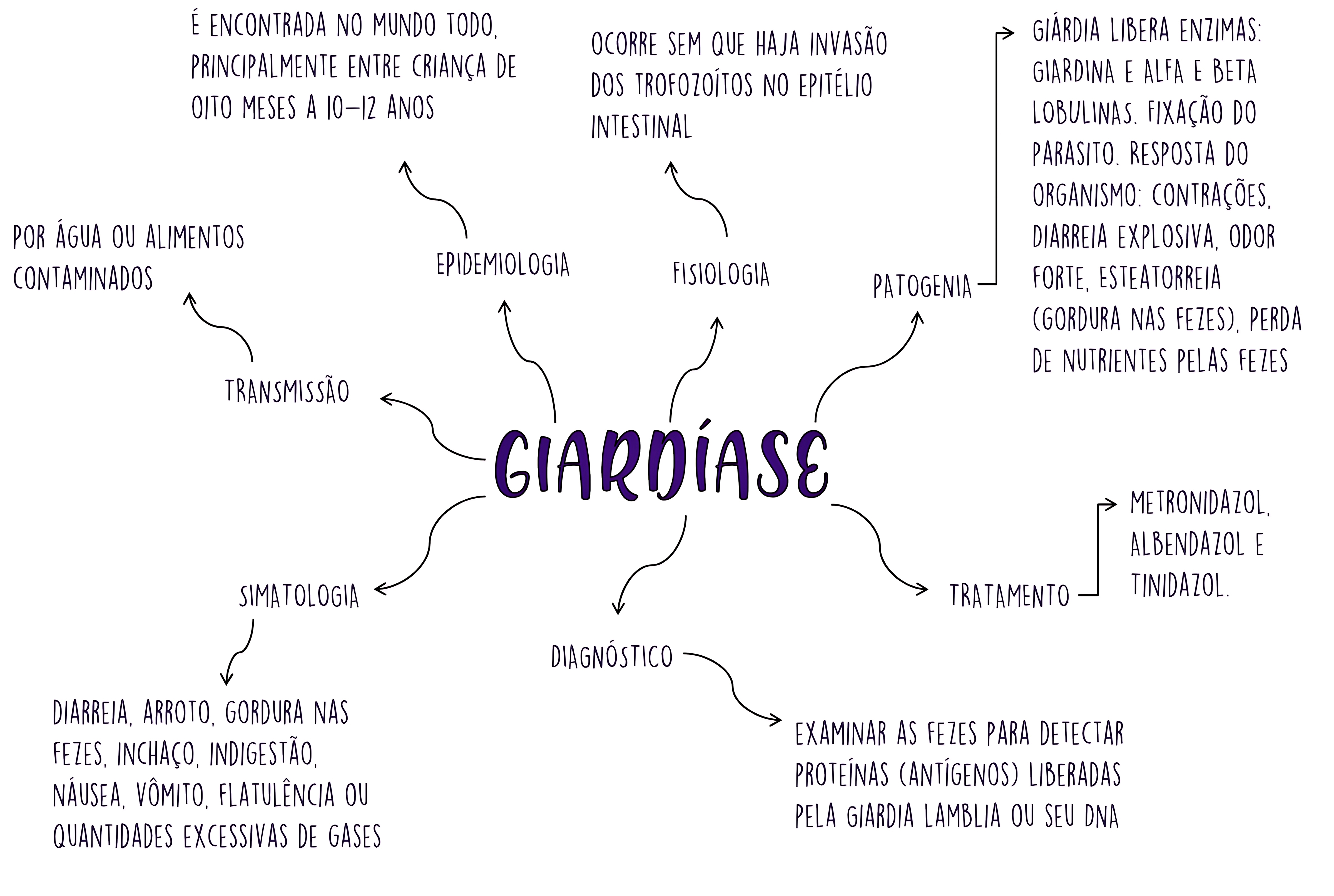 MAPA MENTAL SOBRE GIARDÍASE