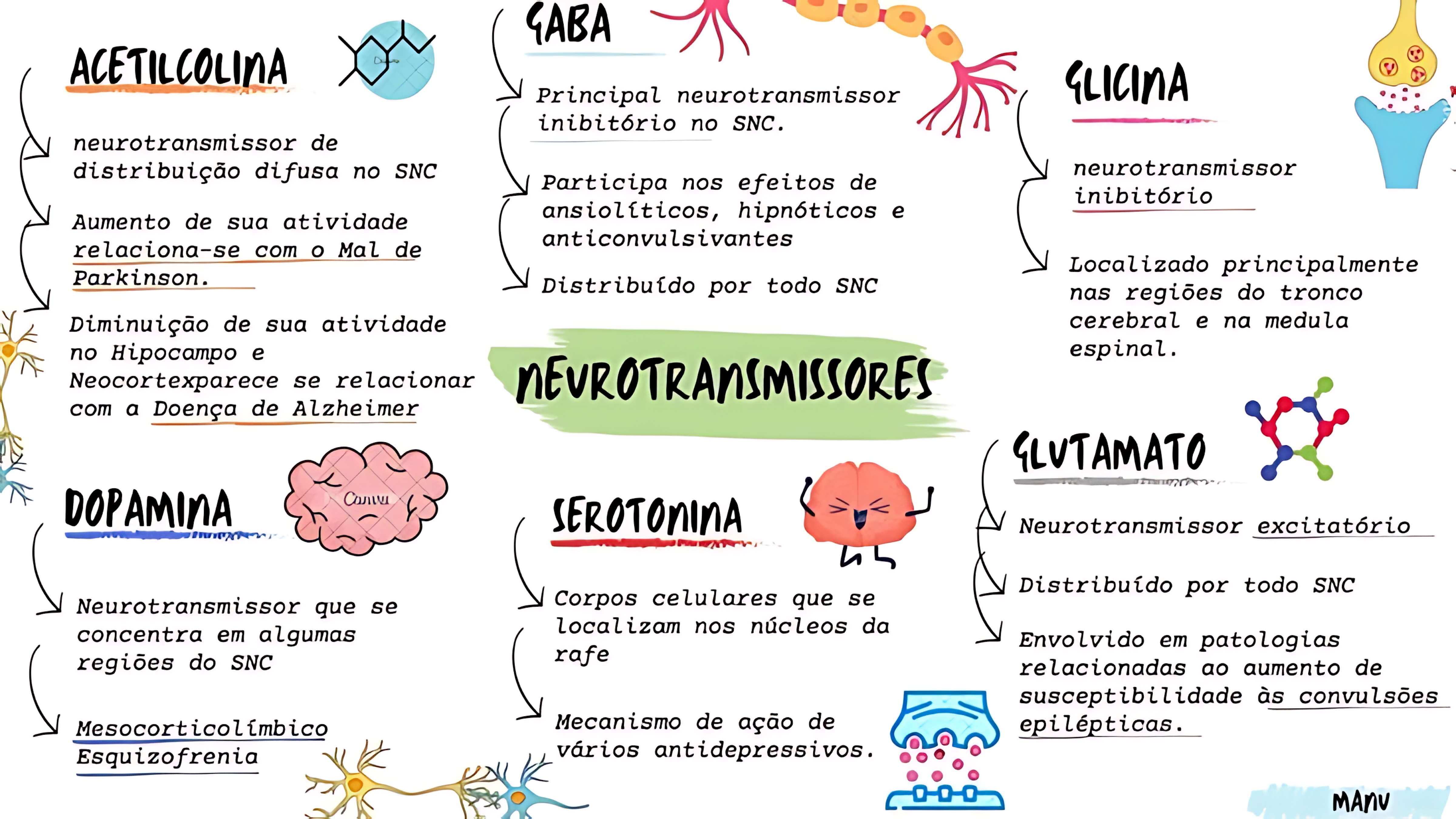 MAPA MENTAL SOBRE NEUROTRANSMISSORES