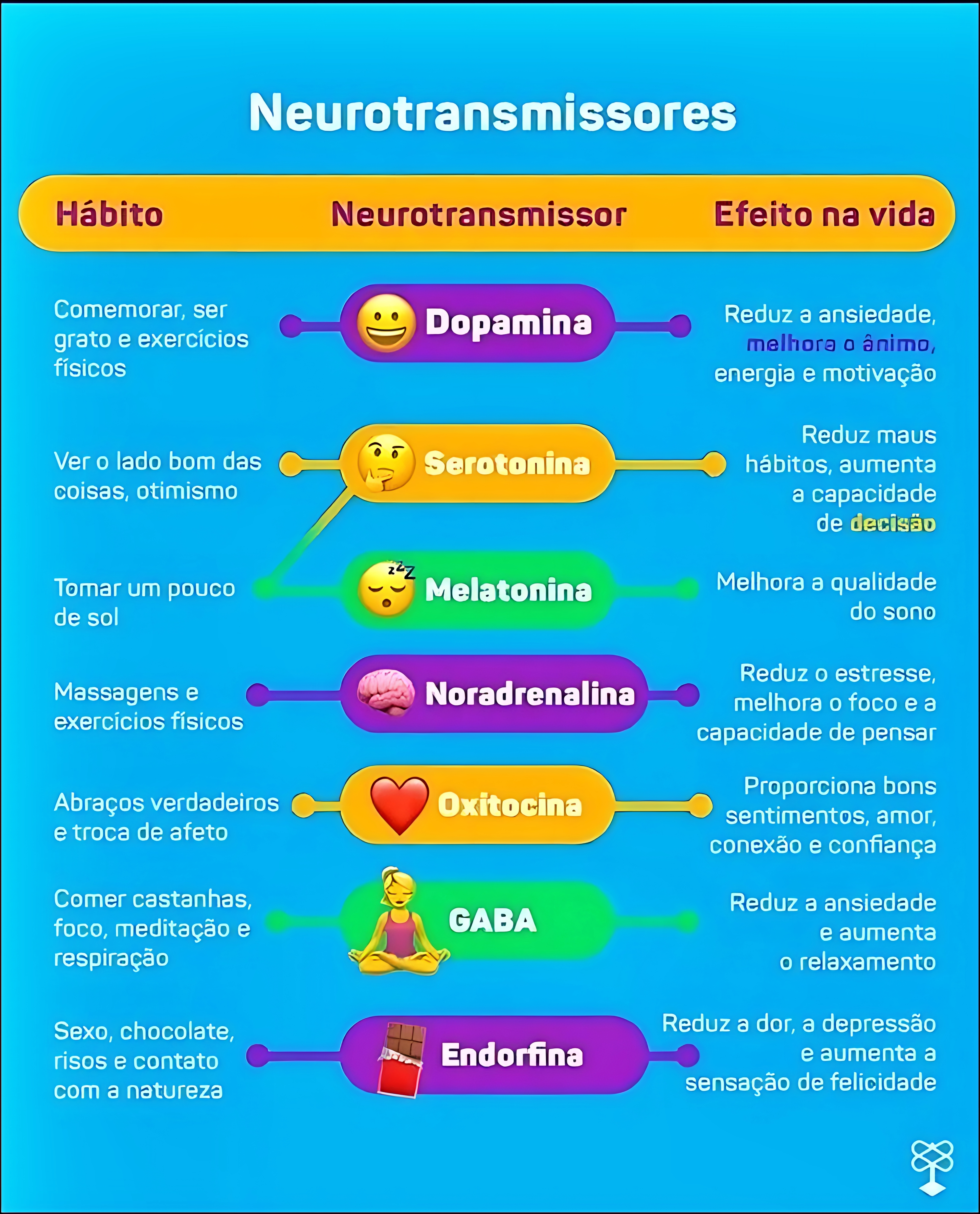 MAPA MENTAL SOBRE NEUROTRANSMISSORES