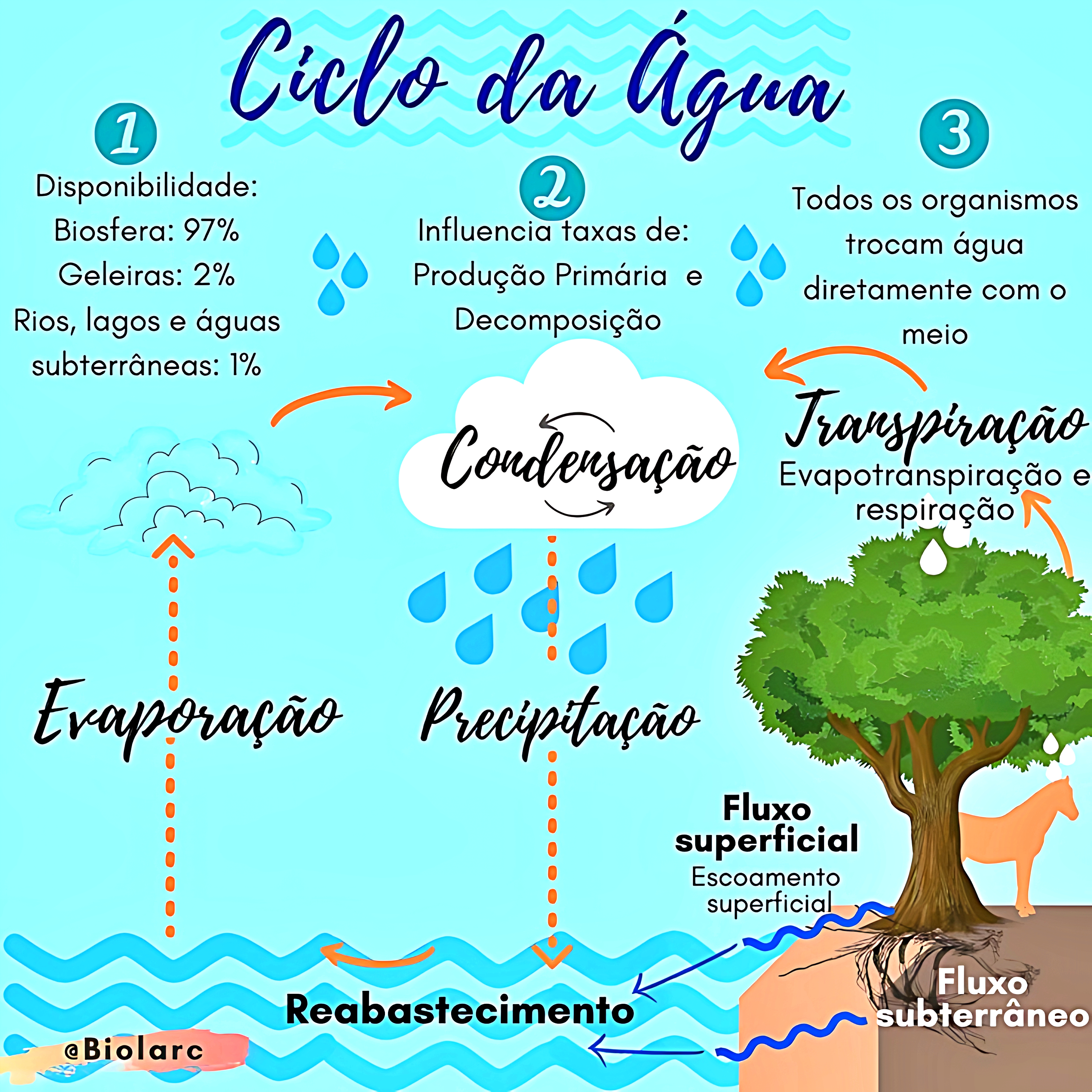 MAPA MENTAL SOBRE CICLO DA ÁGUA