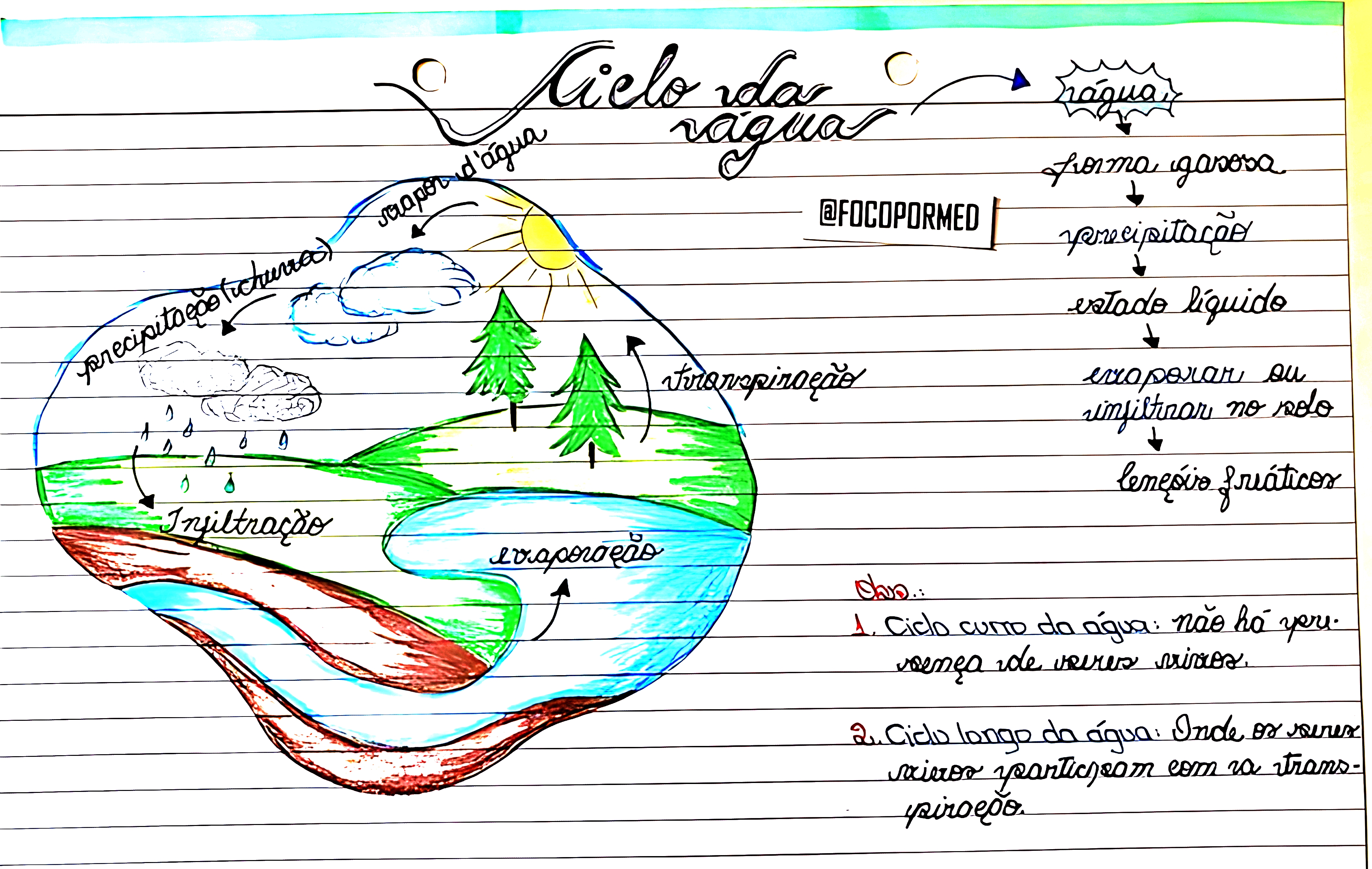 MAPA MENTAL SOBRE CICLO DA ÁGUA