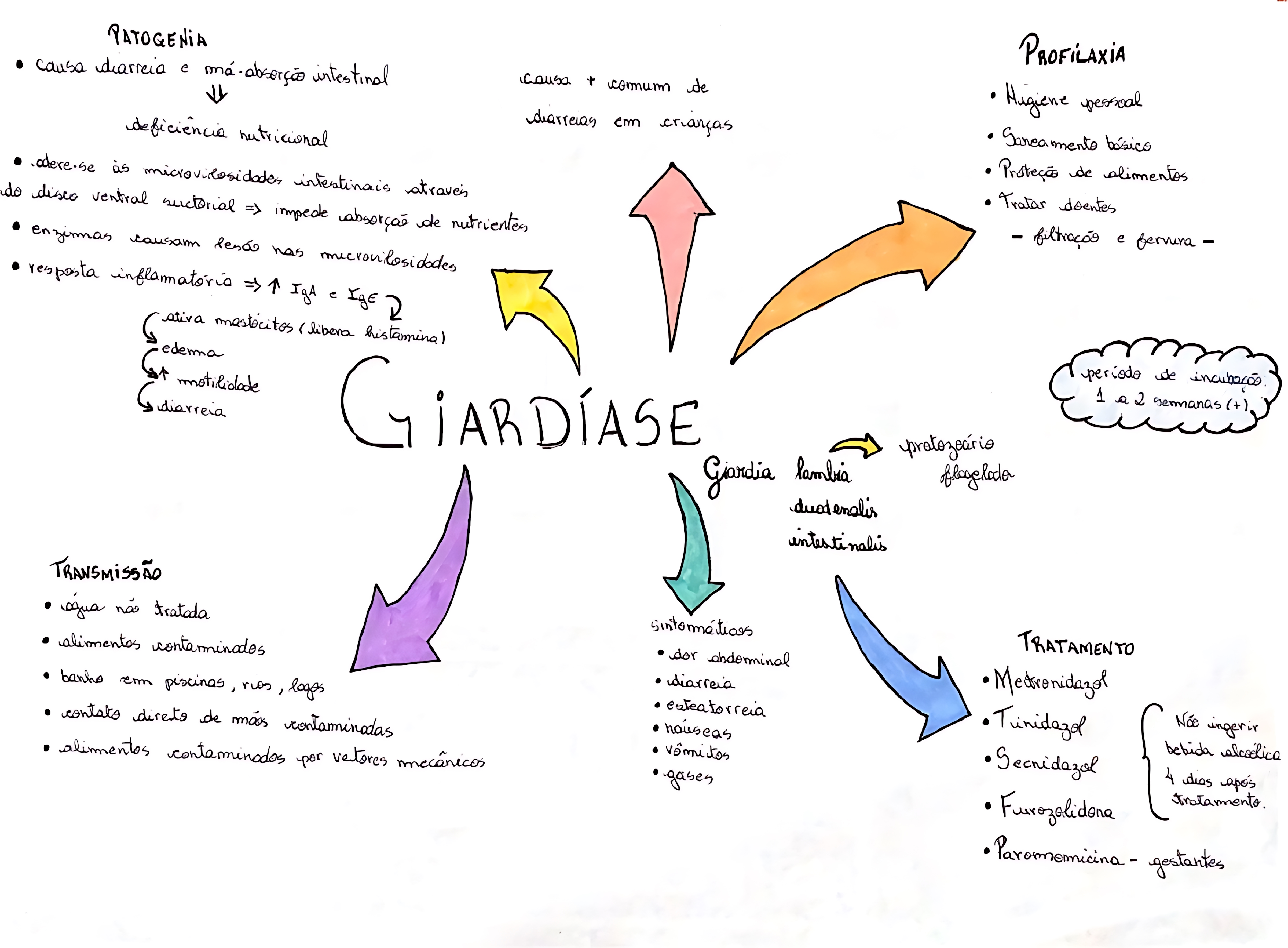 MAPA MENTAL SOBRE GIARDÍASE