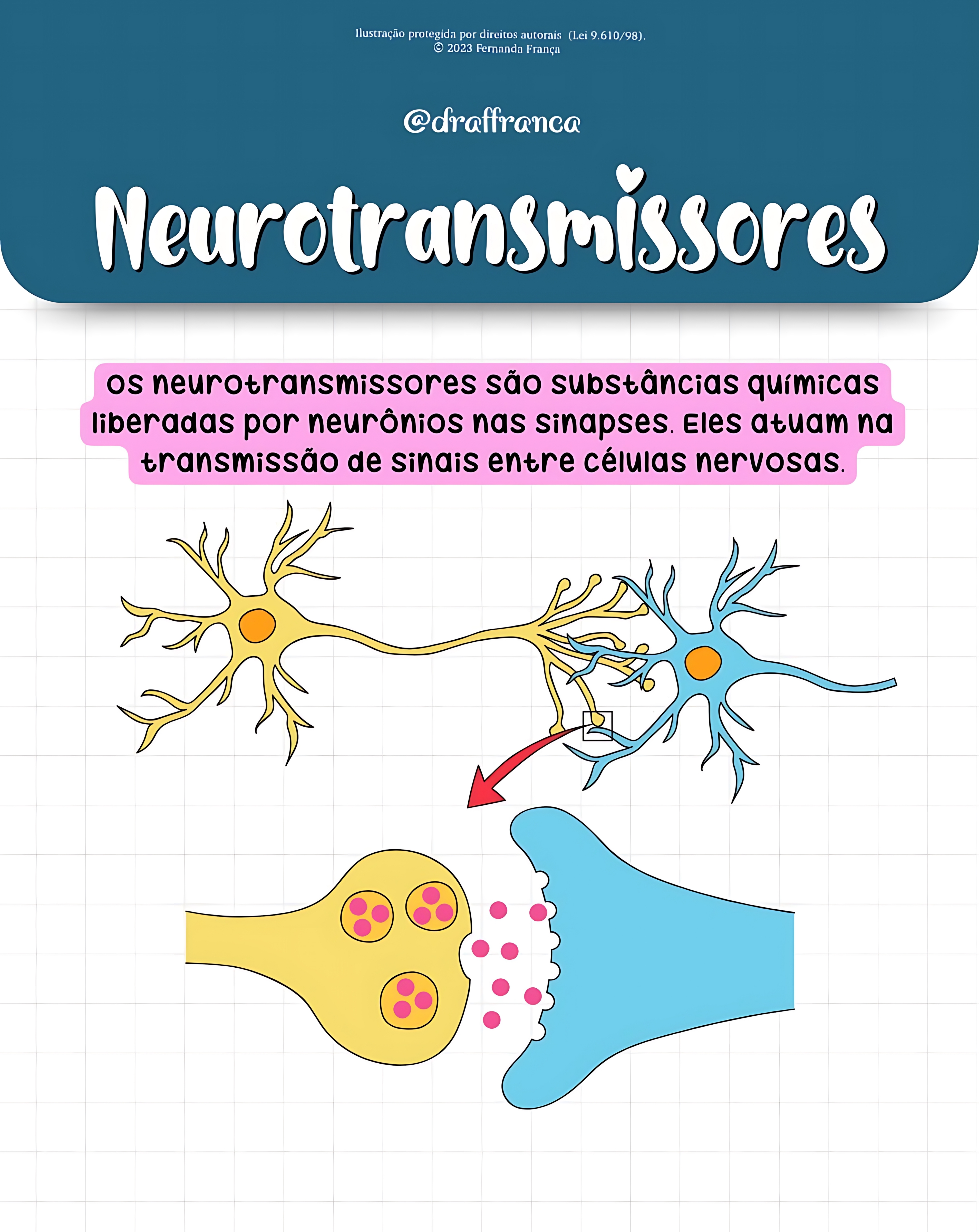 MAPA MENTAL SOBRE NEUROTRANSMISSORES
