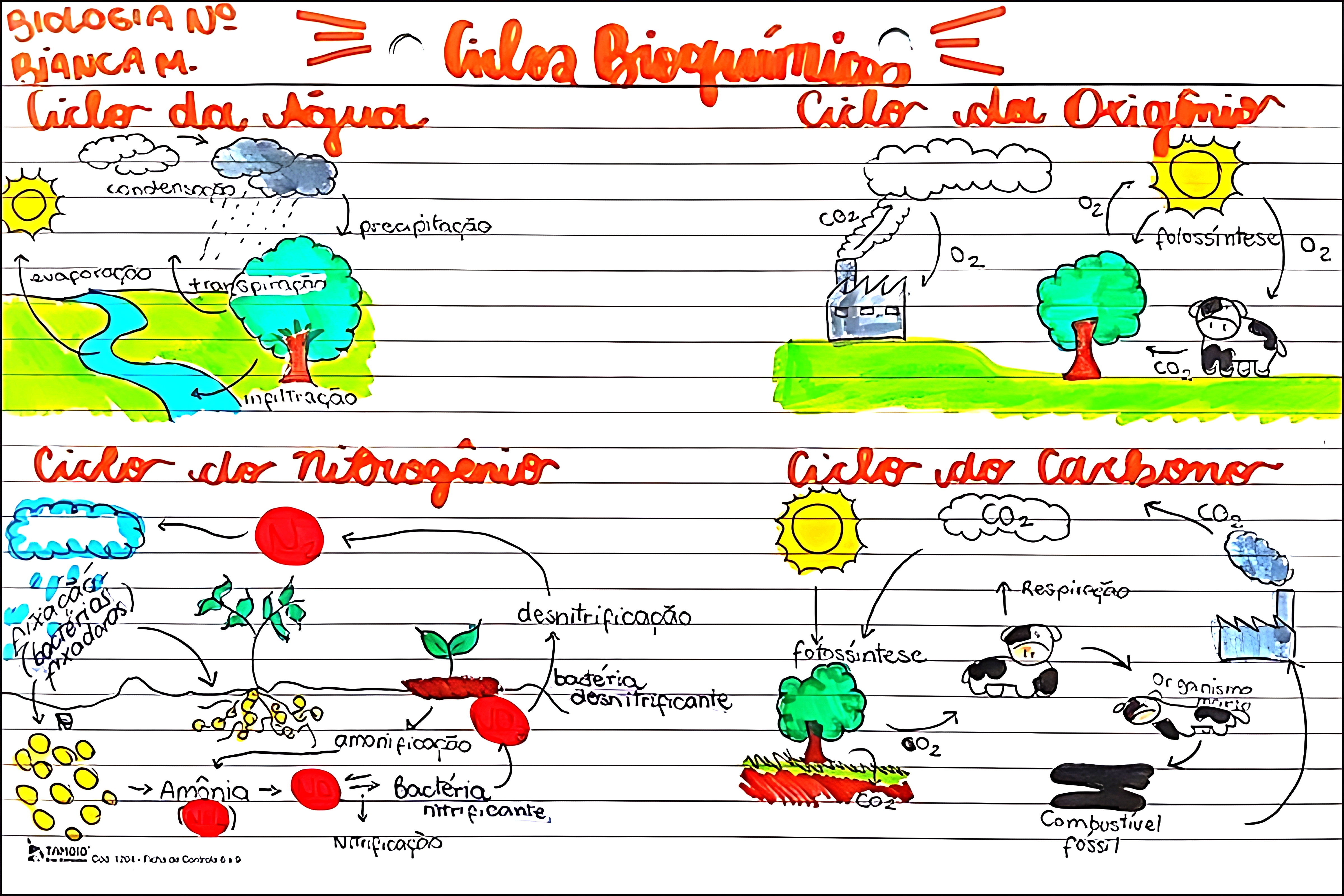 MAPA MENTAL SOBRE CICLO DA ÁGUA