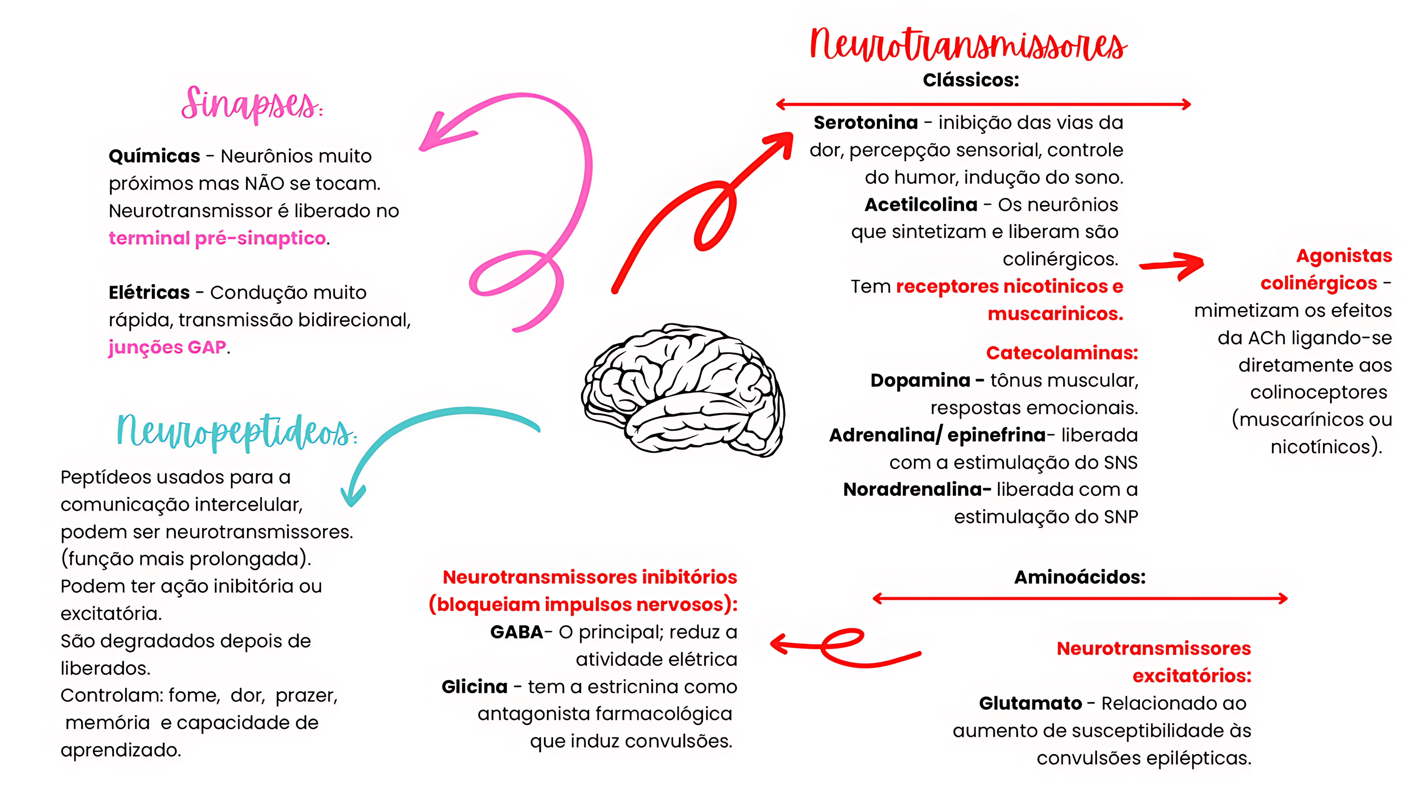 MAPA MENTAL SOBRE NEUROTRANSMISSORES