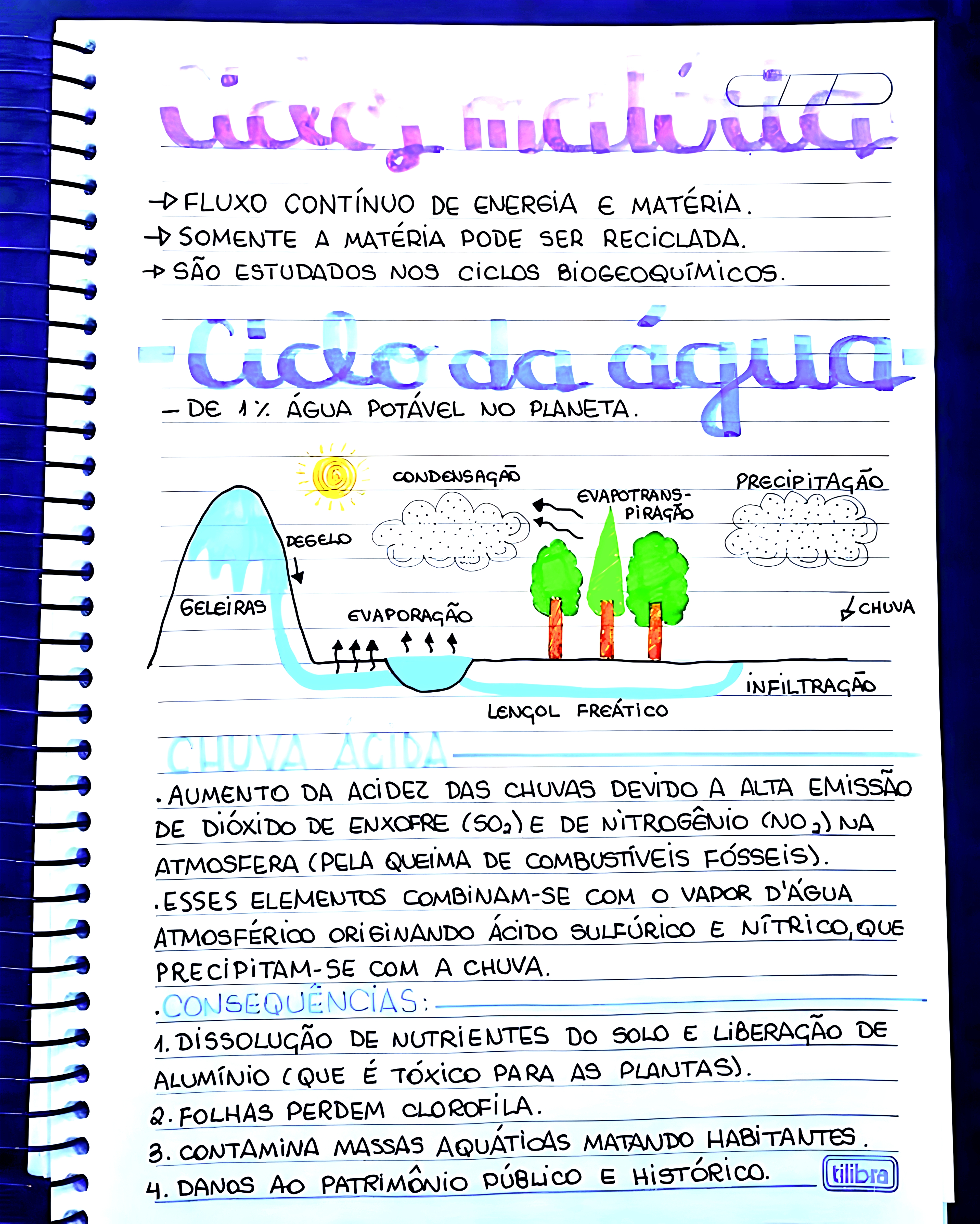 MAPA MENTAL SOBRE CICLO DA ÁGUA
