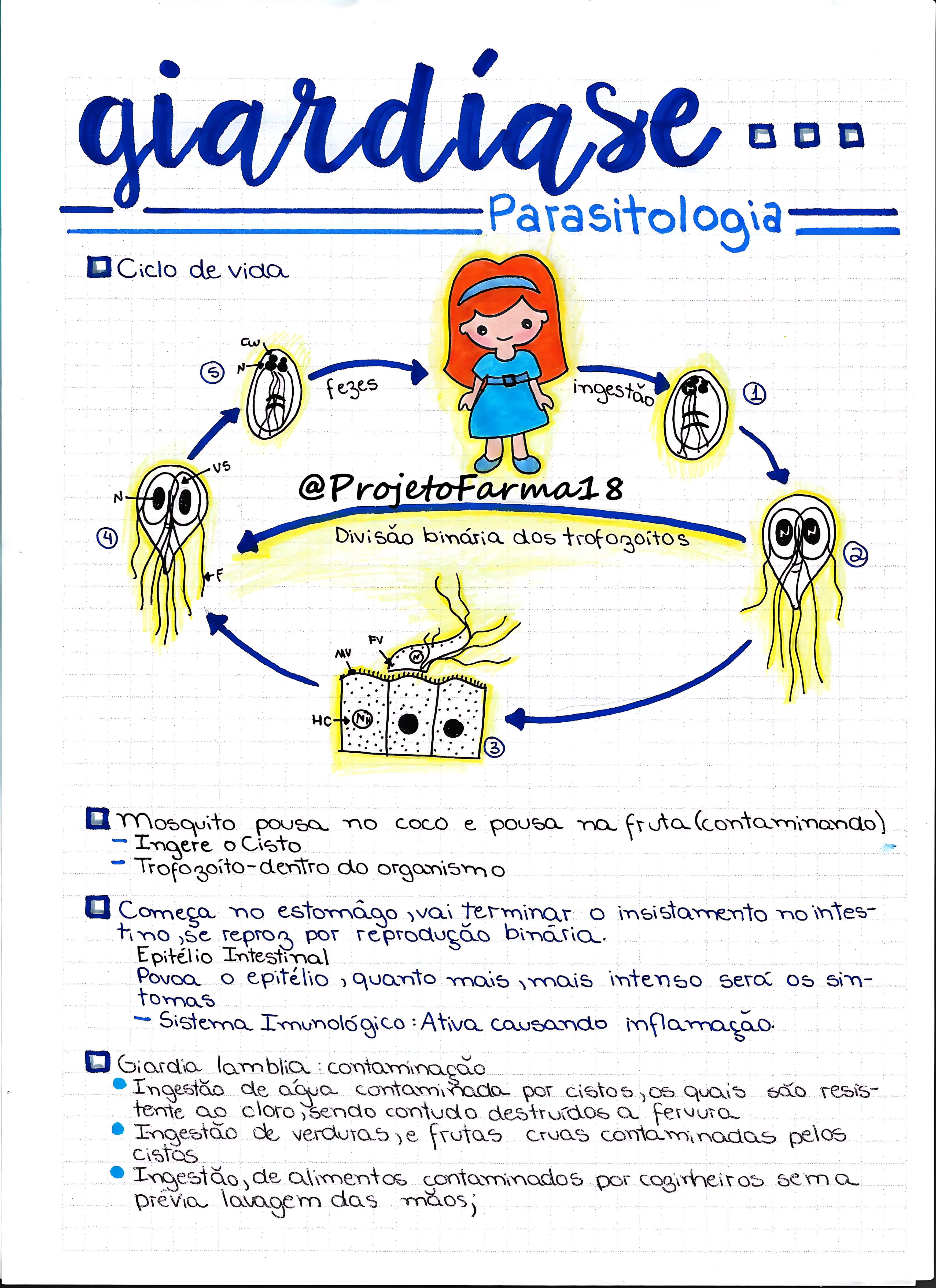 MAPA MENTAL SOBRE GIARDÍASE