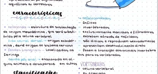 MAPA MENTAL SOBRE CORDADOS