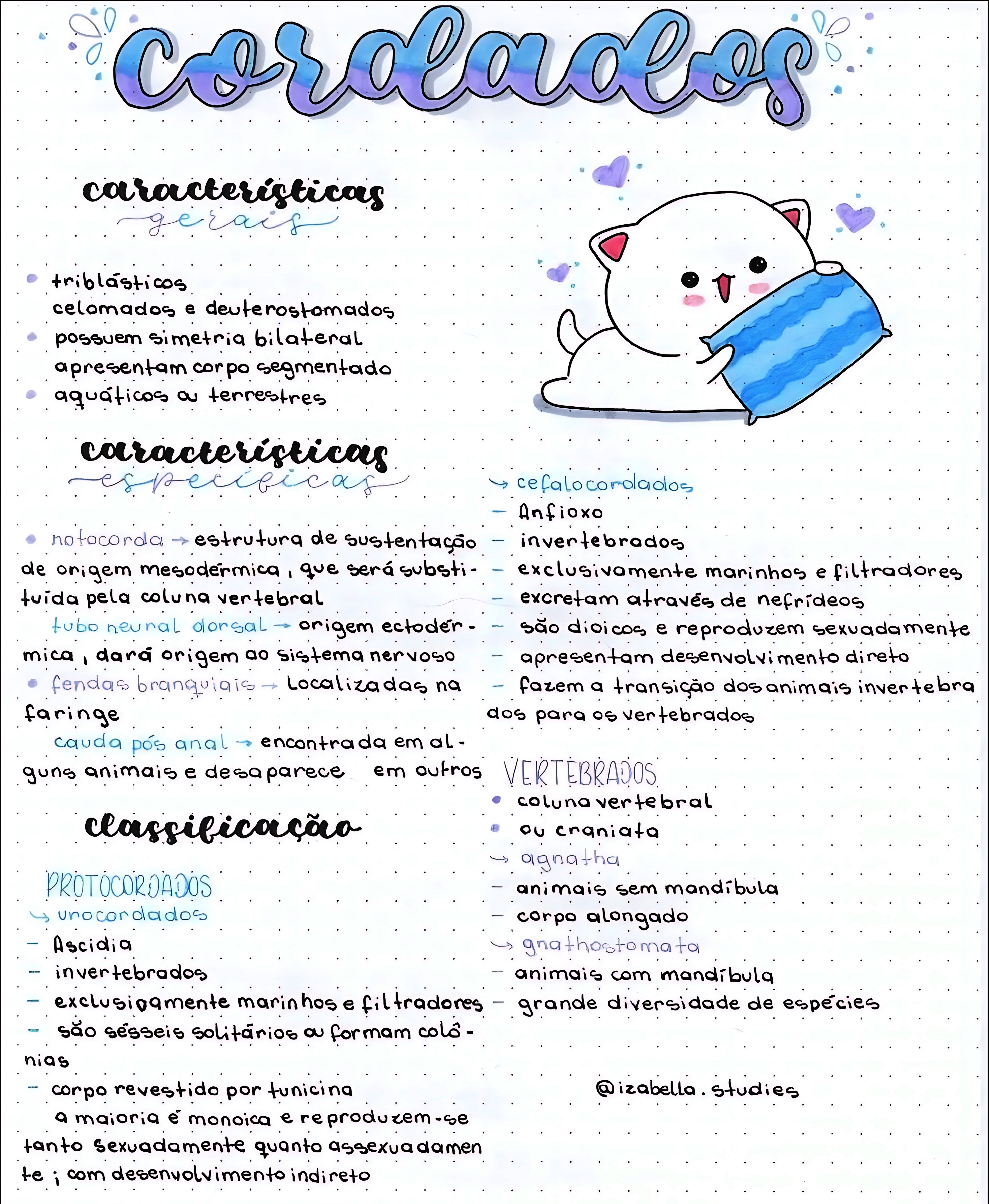 MAPA MENTAL SOBRE CORDADOS