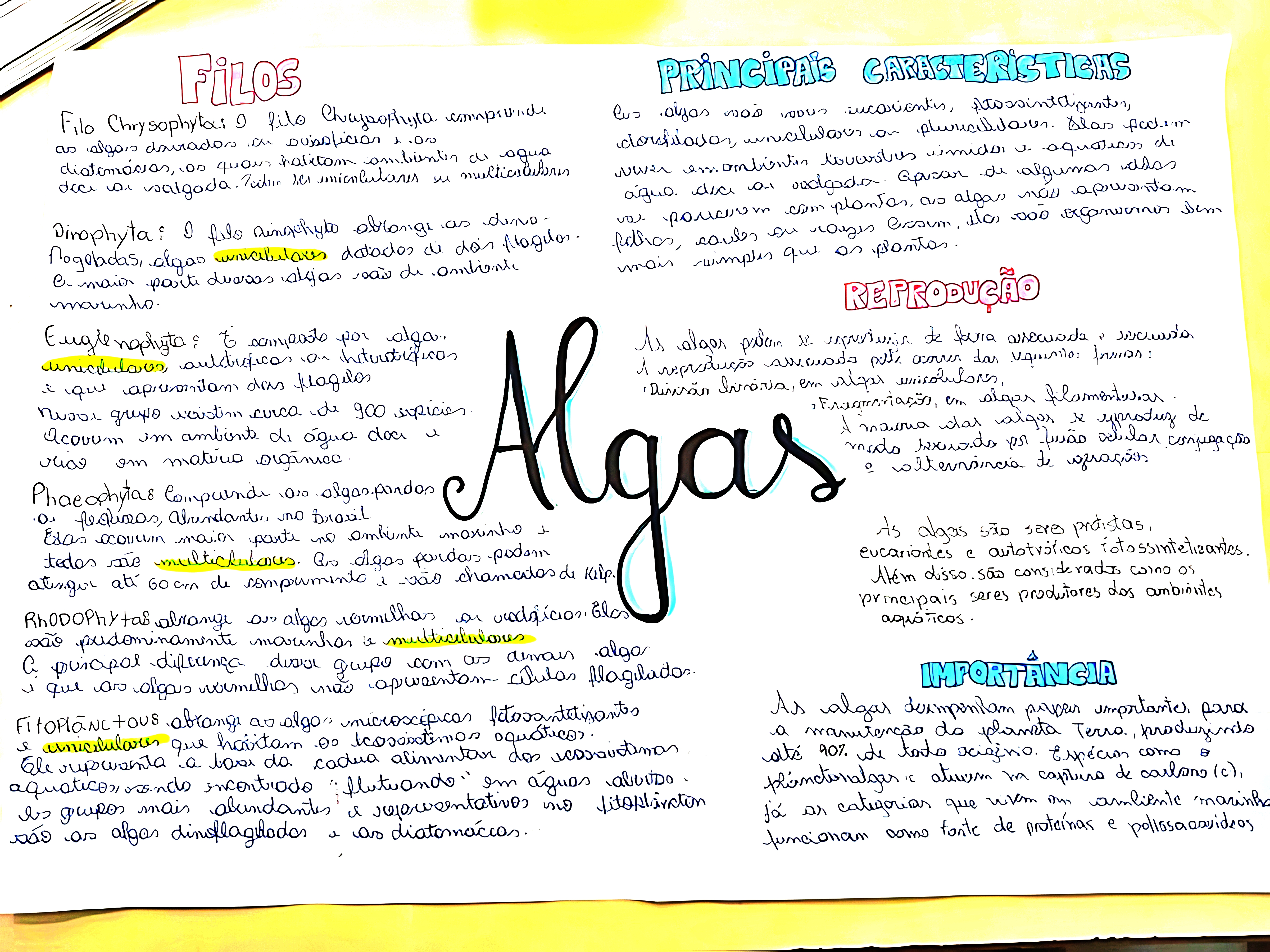 MAPA MENTAL SOBRE ALGAS