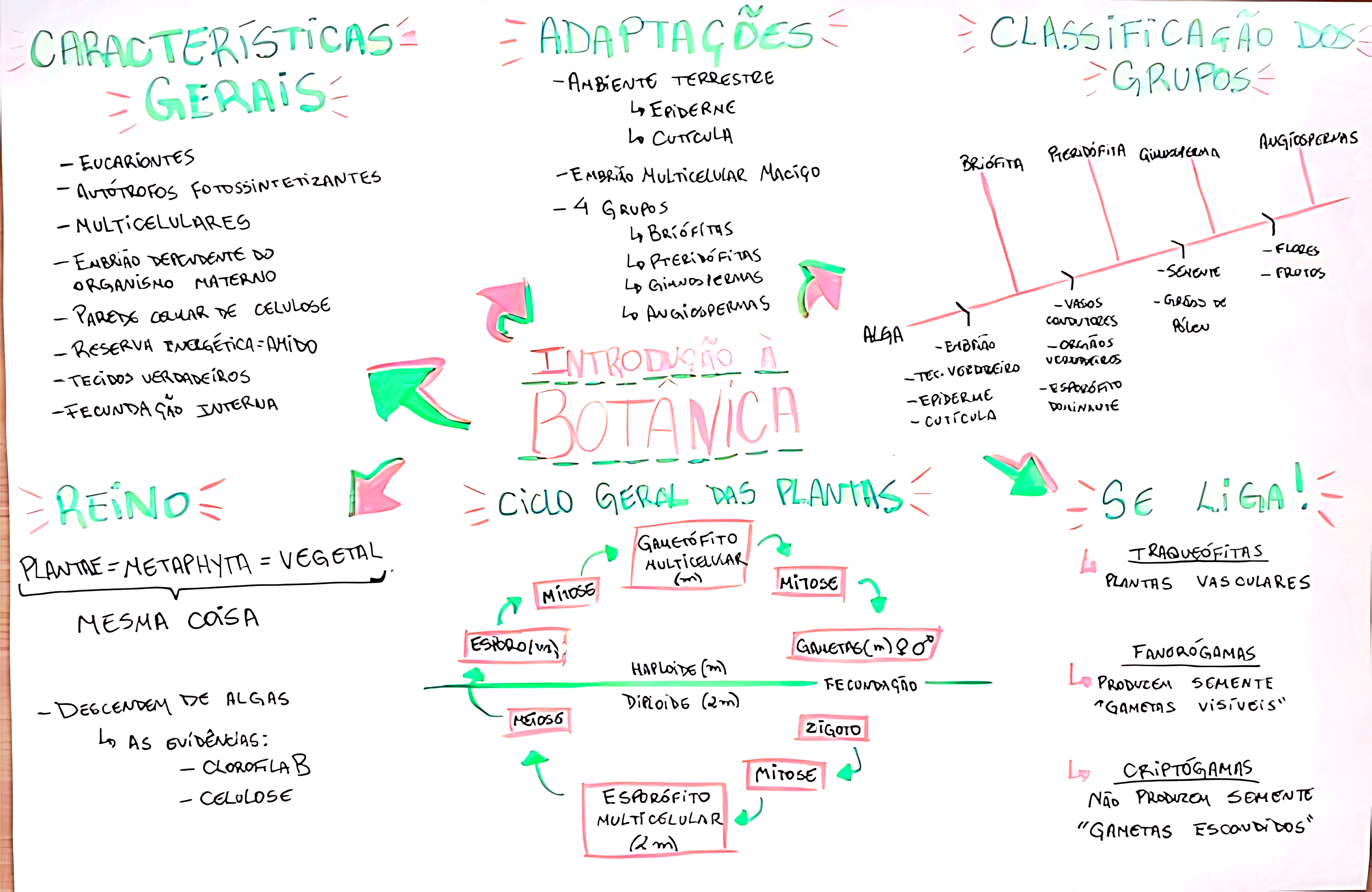 MAPA MENTAL SOBRE BOTÂNICA