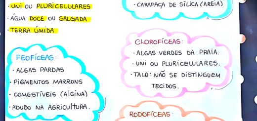 MAPA MENTAL SOBRE ALGAS