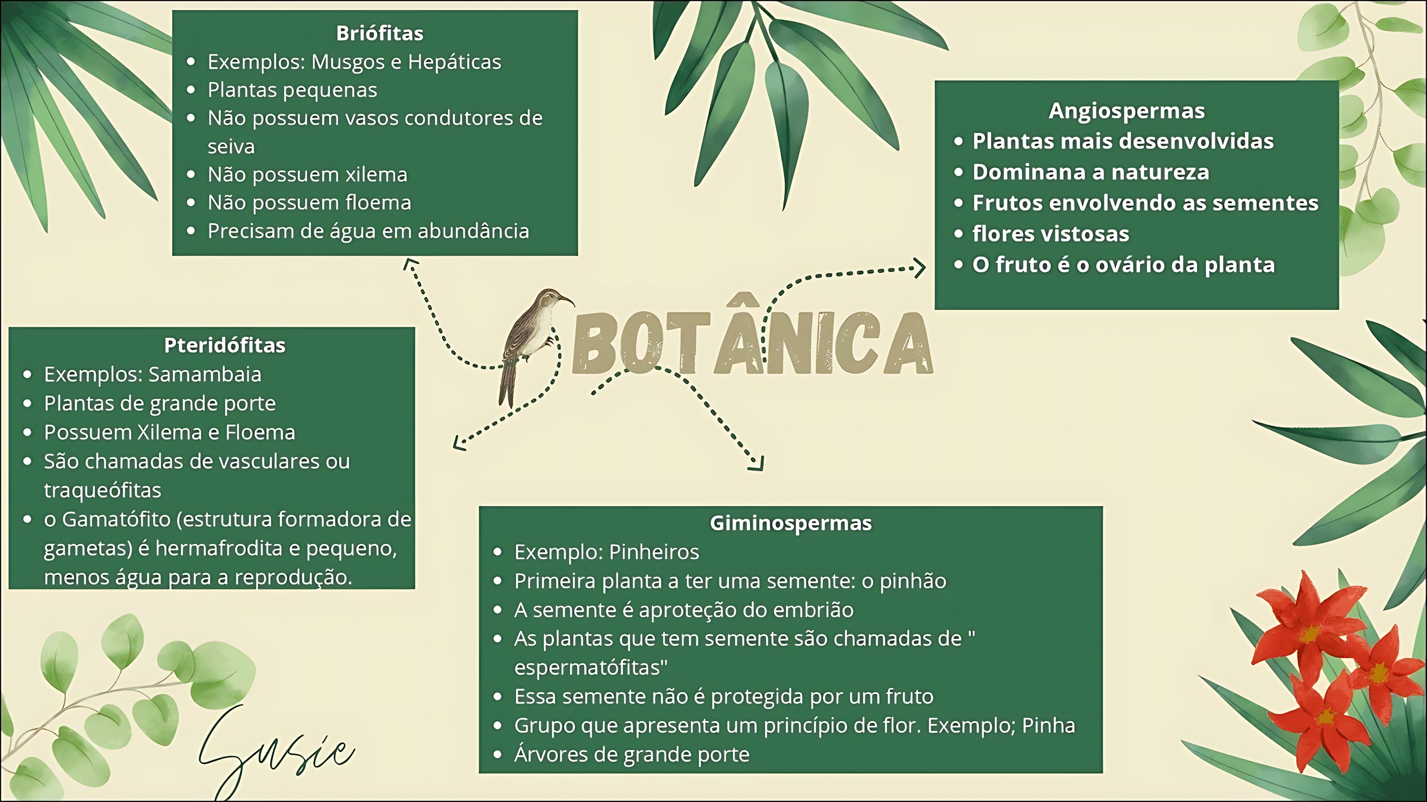 MAPA MENTAL SOBRE BOTÂNICA