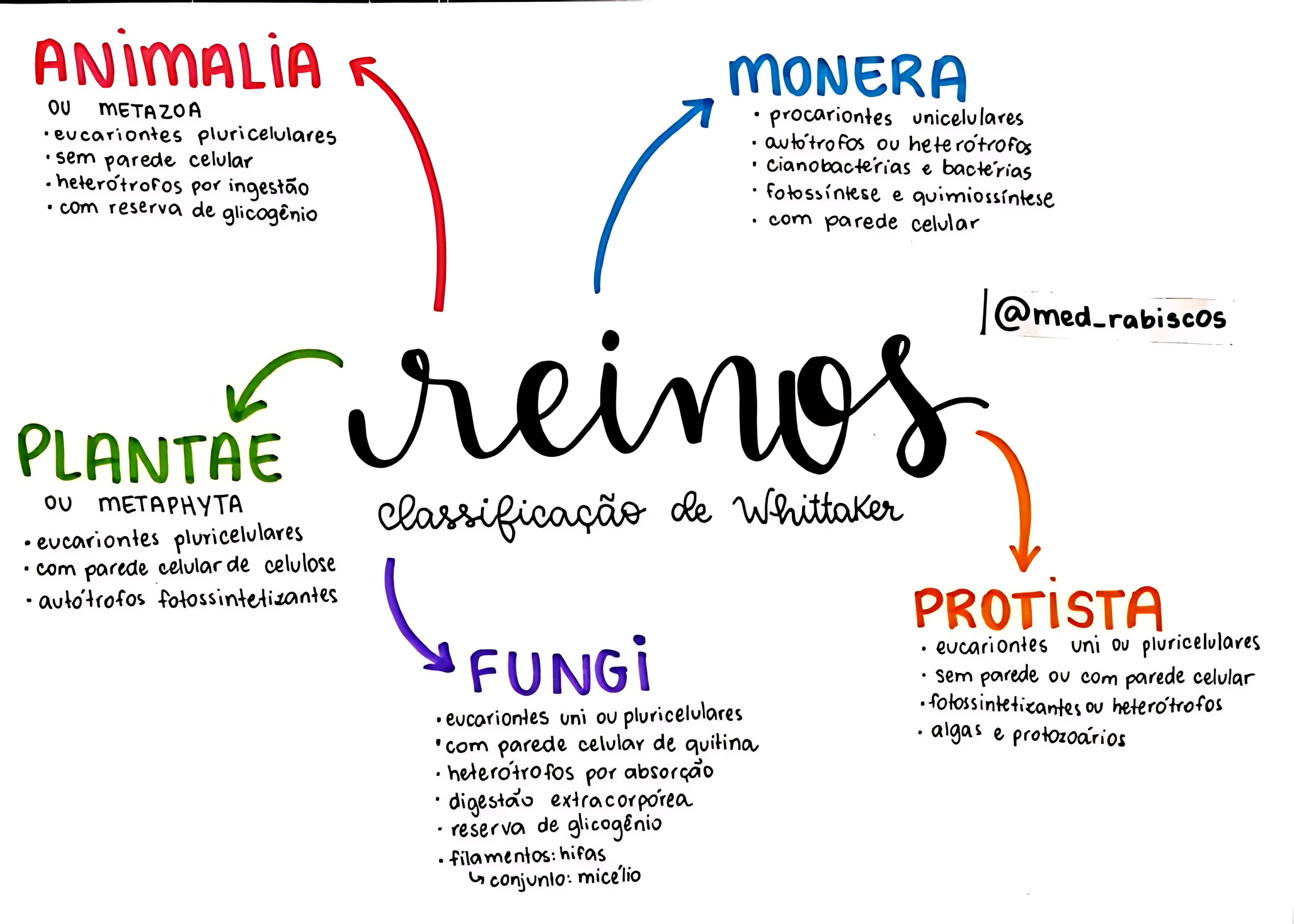 MAPA MENTAL SOBRE REINOS DOS SERES VIVOS