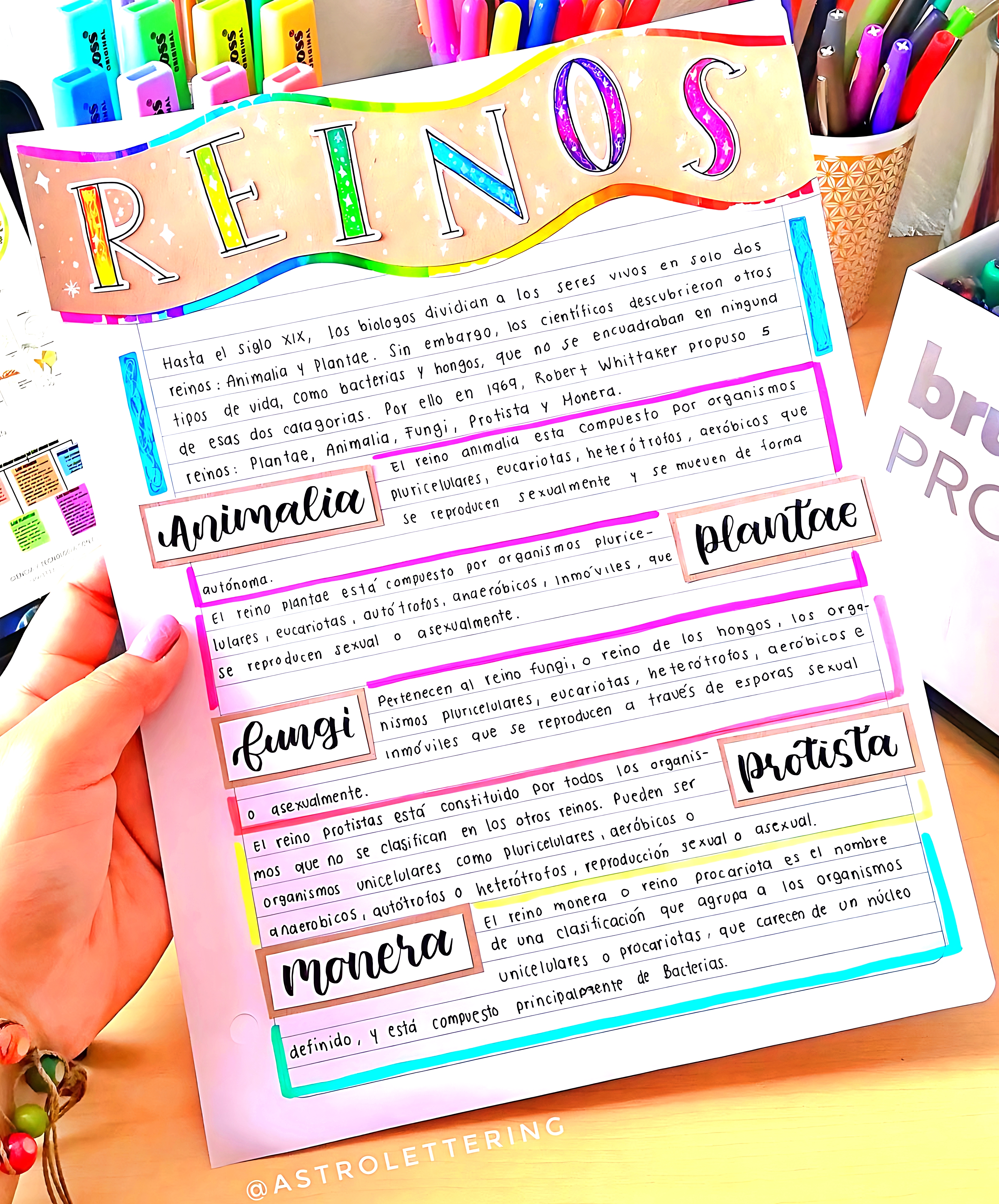 MAPA MENTAL SOBRE REINOS DOS SERES VIVOS