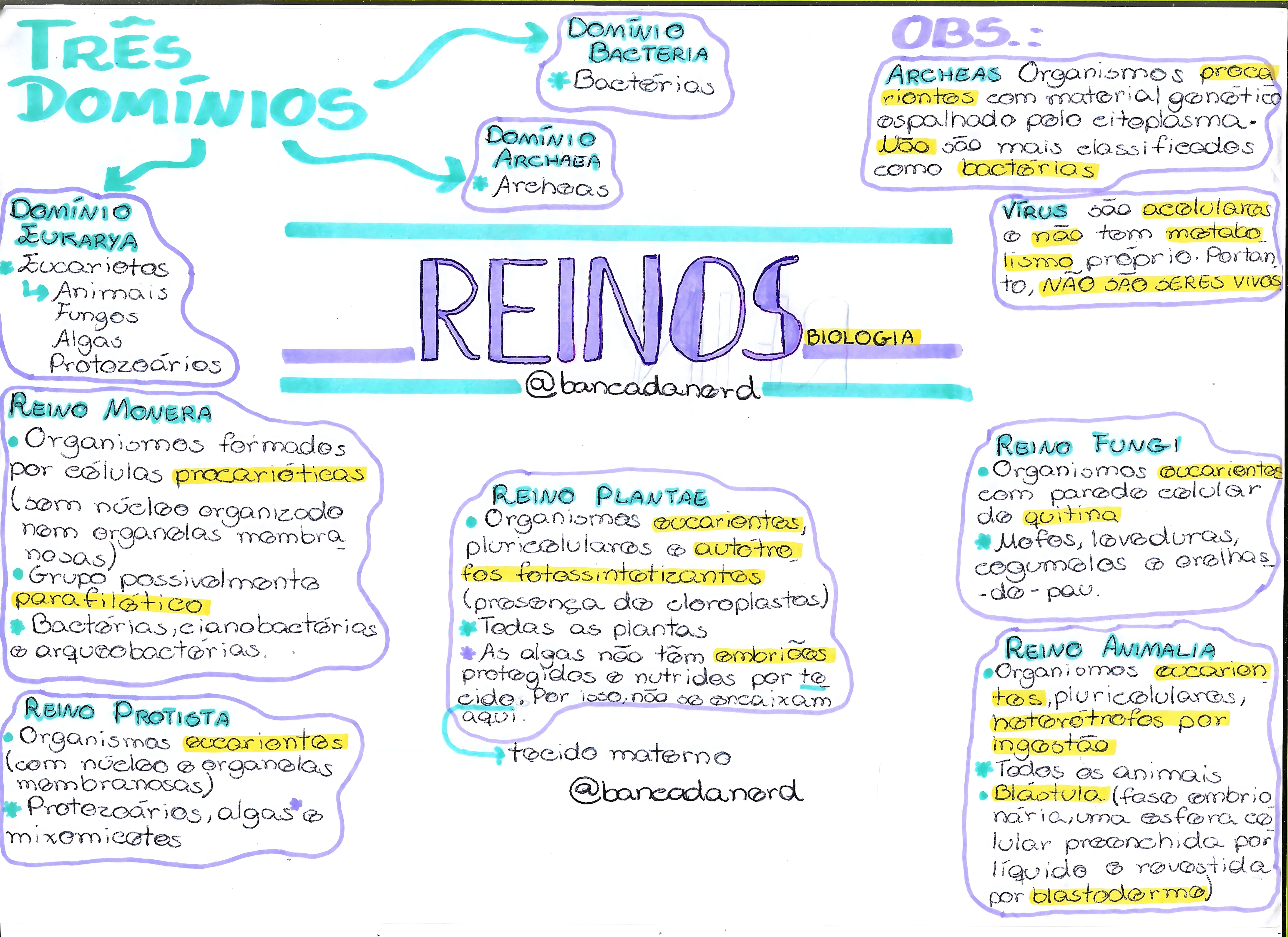 MAPA MENTAL SOBRE REINOS DOS SERES VIVOS