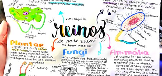 MAPA MENTAL SOBRE REINOS DOS SERES VIVOS