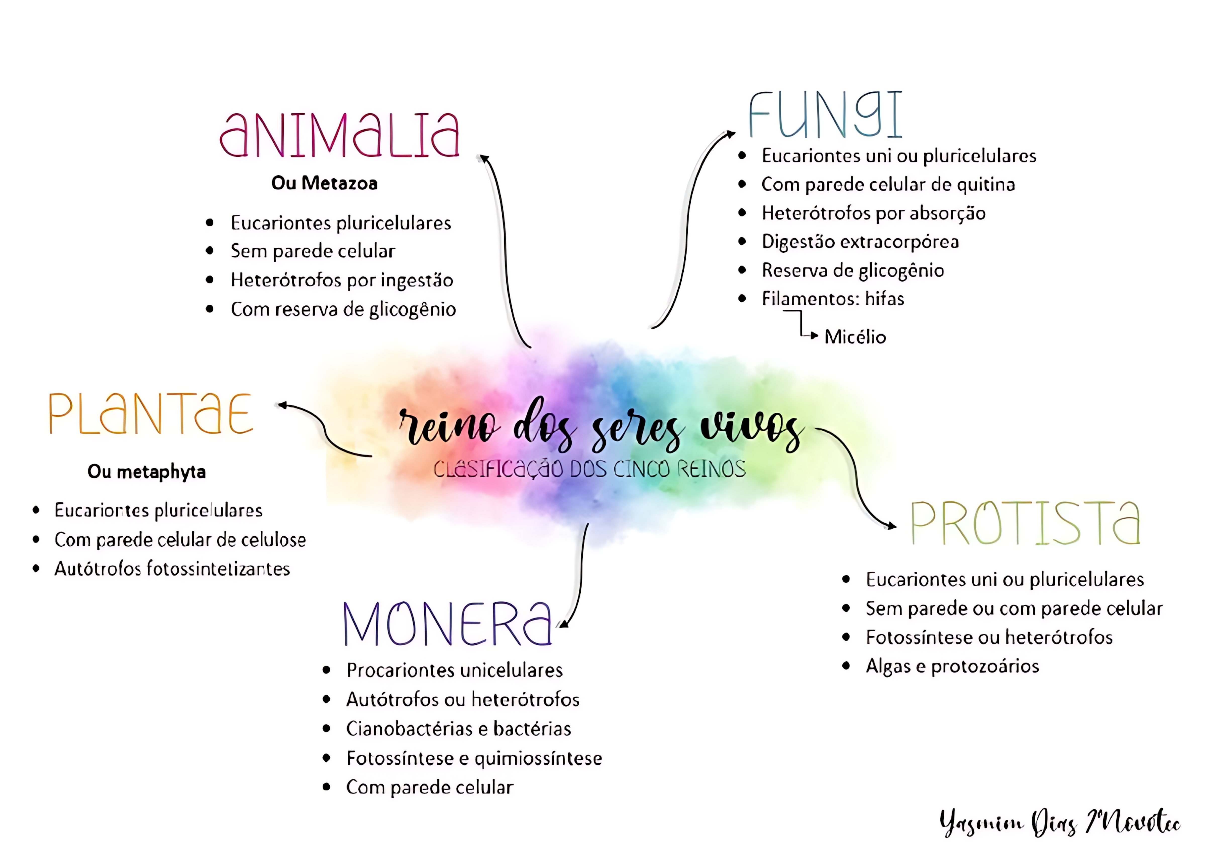 MAPA MENTAL SOBRE REINOS DOS SERES VIVOS