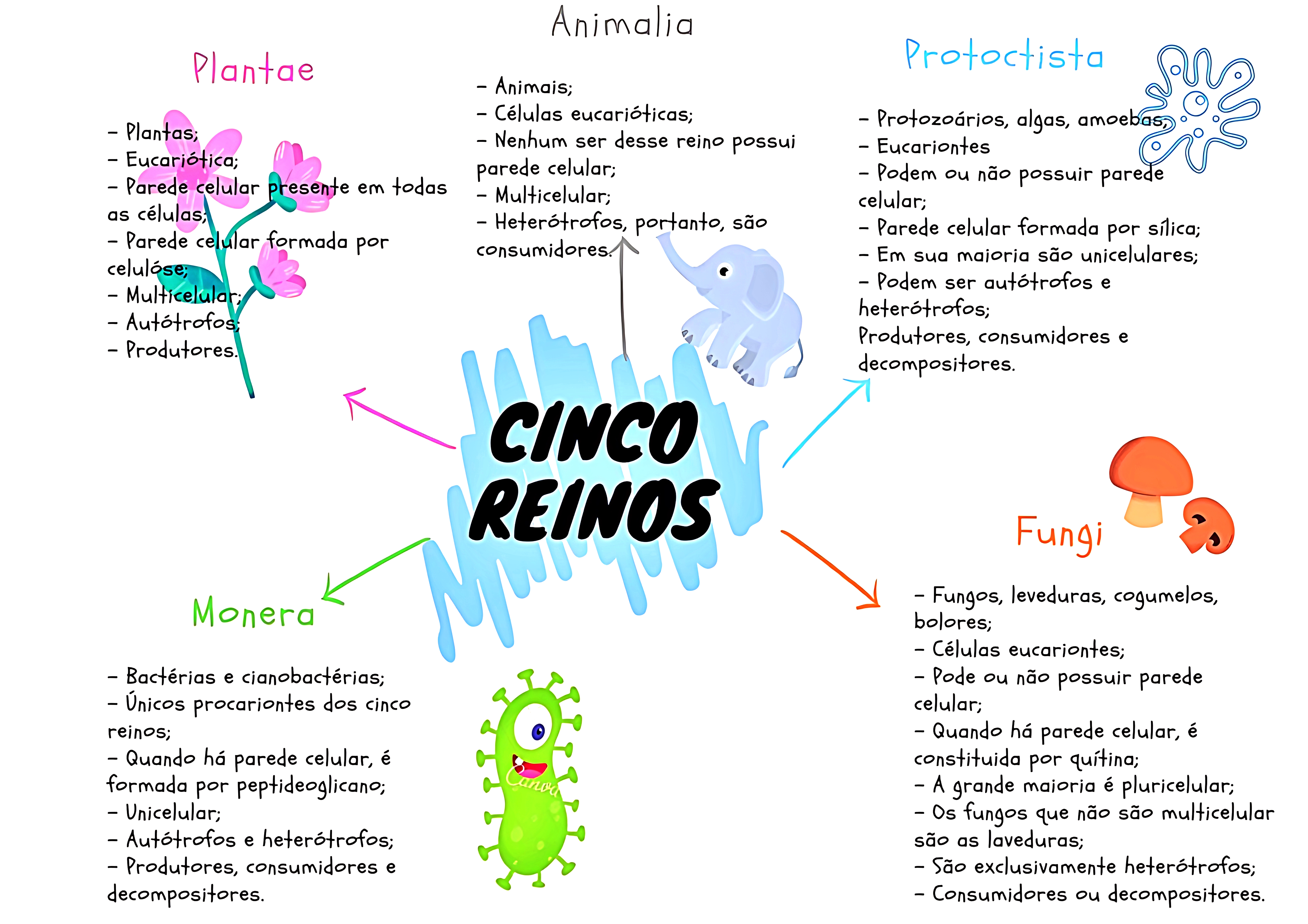 MAPA MENTAL SOBRE REINOS DOS SERES VIVOS