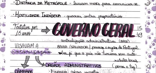 MAPA MENTAL SOBRE GOVERNO GERAL