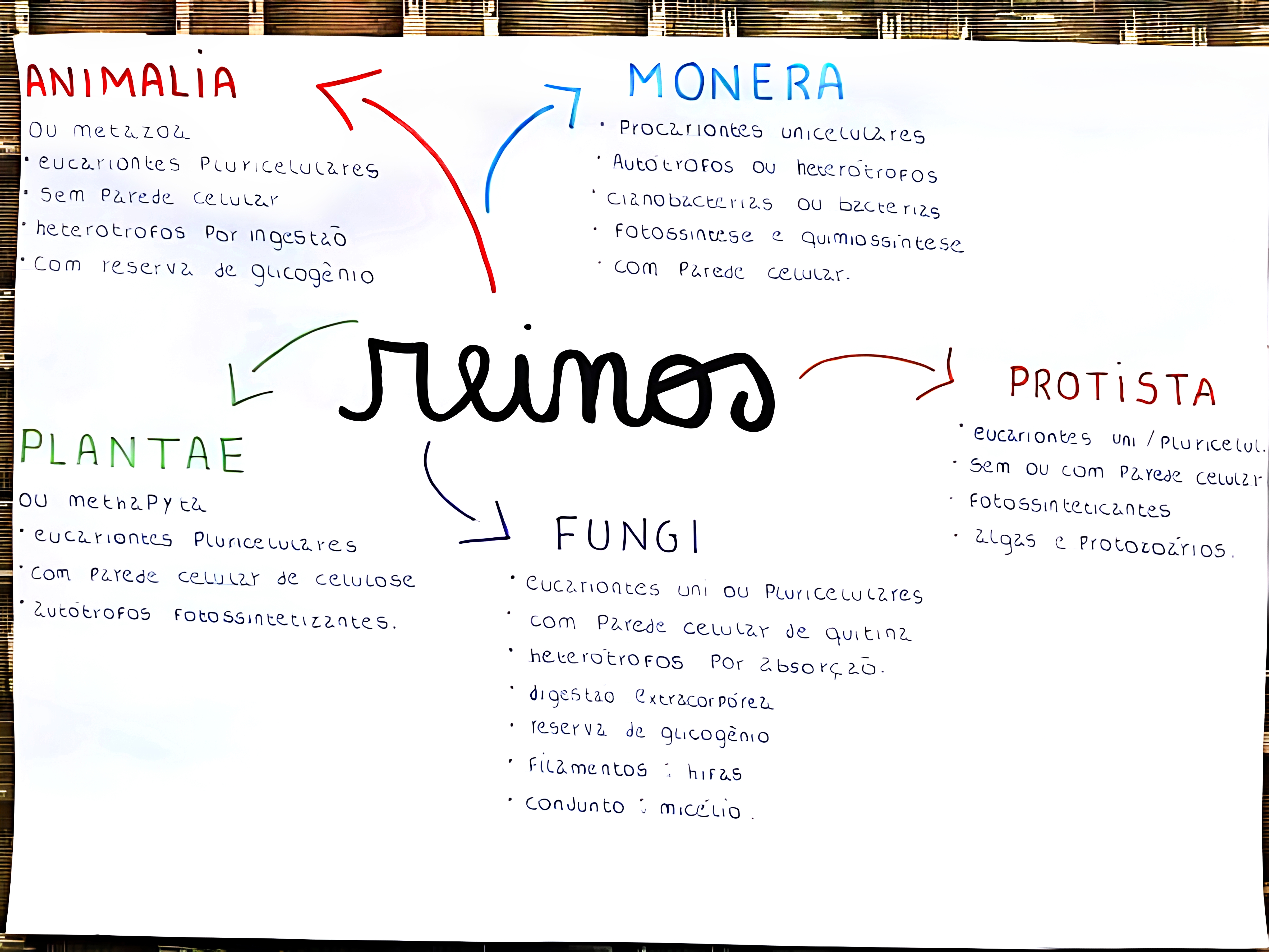 MAPA MENTAL SOBRE REINOS DOS SERES VIVOS