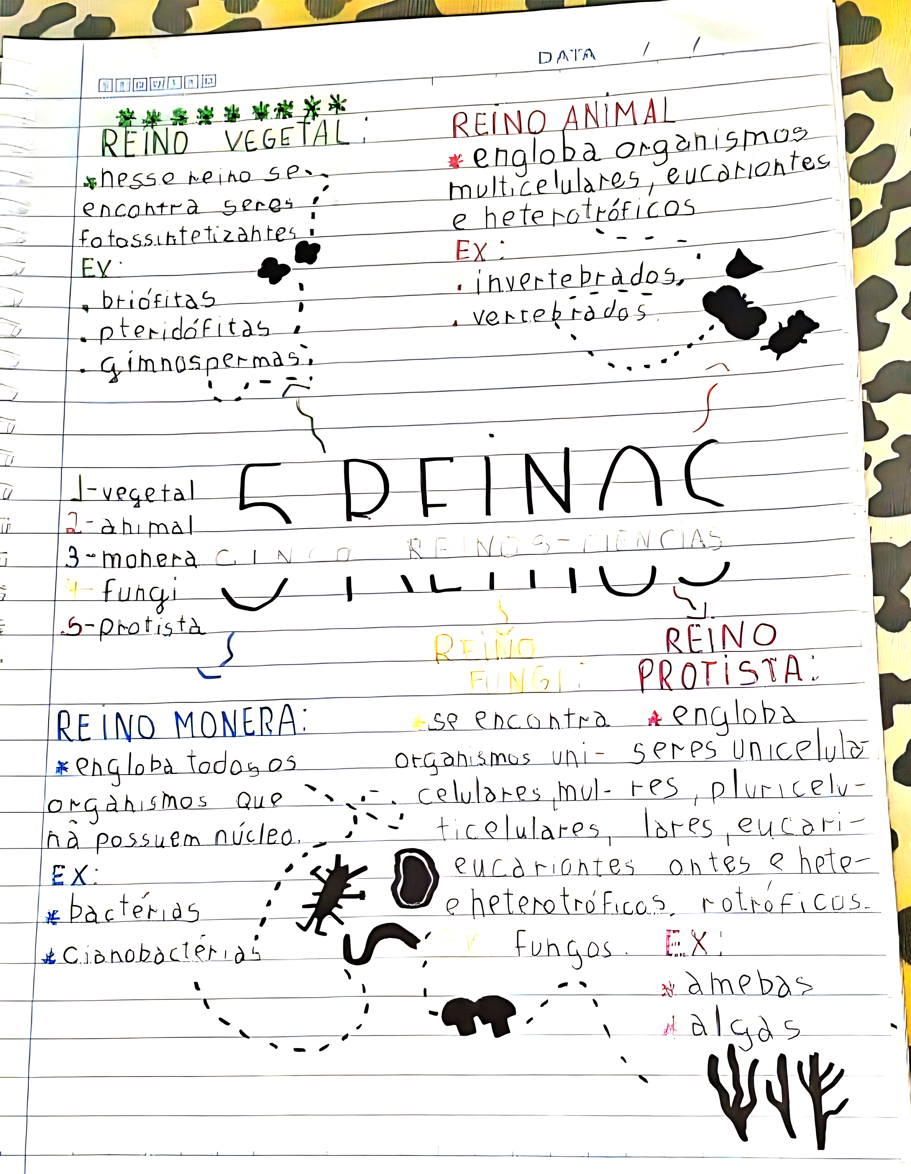 MAPA MENTAL SOBRE REINOS DOS SERES VIVOS