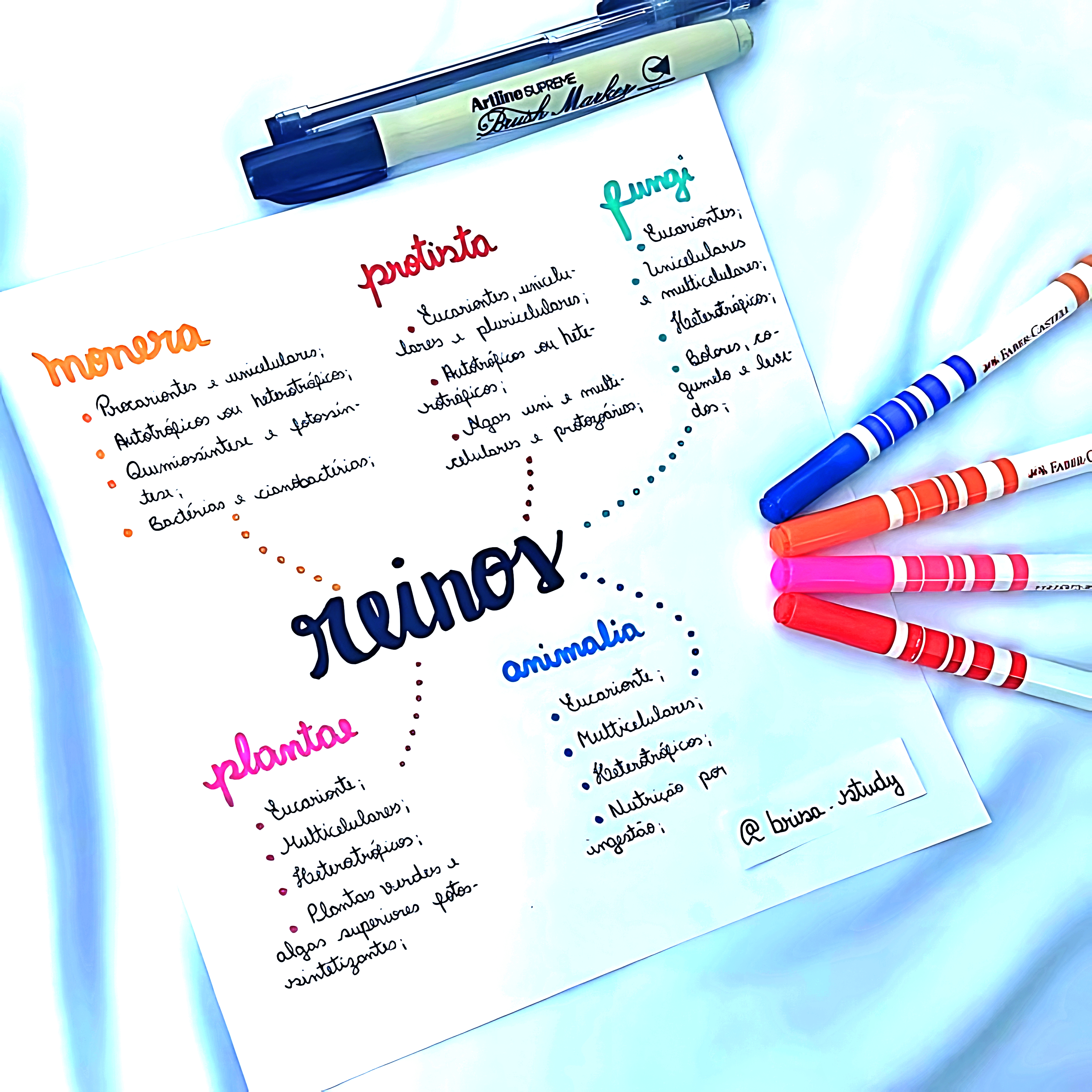 MAPA MENTAL SOBRE REINOS DOS SERES VIVOS