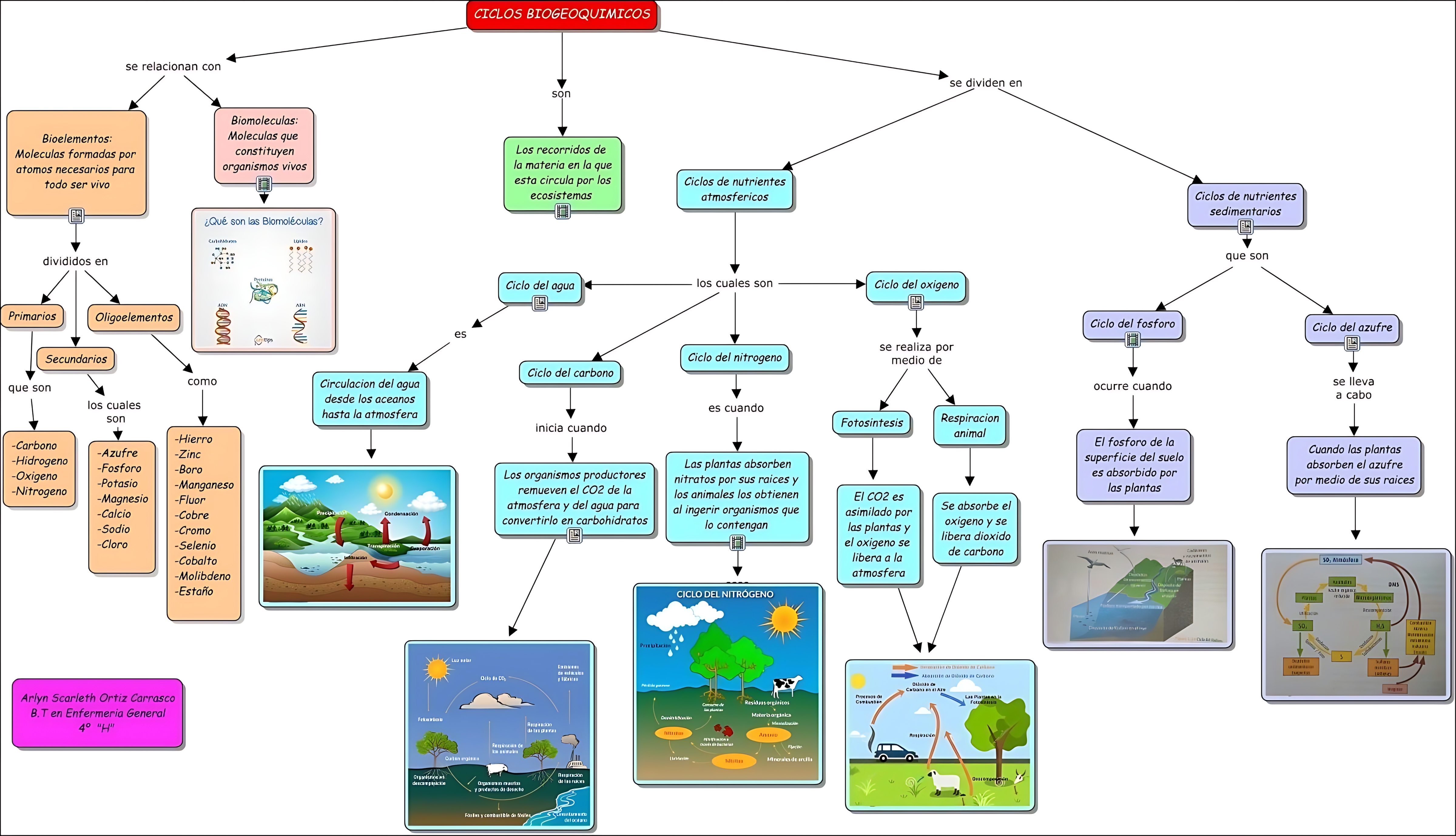 MAPA MENTAL SOBRE CICLO DO FOSFORO