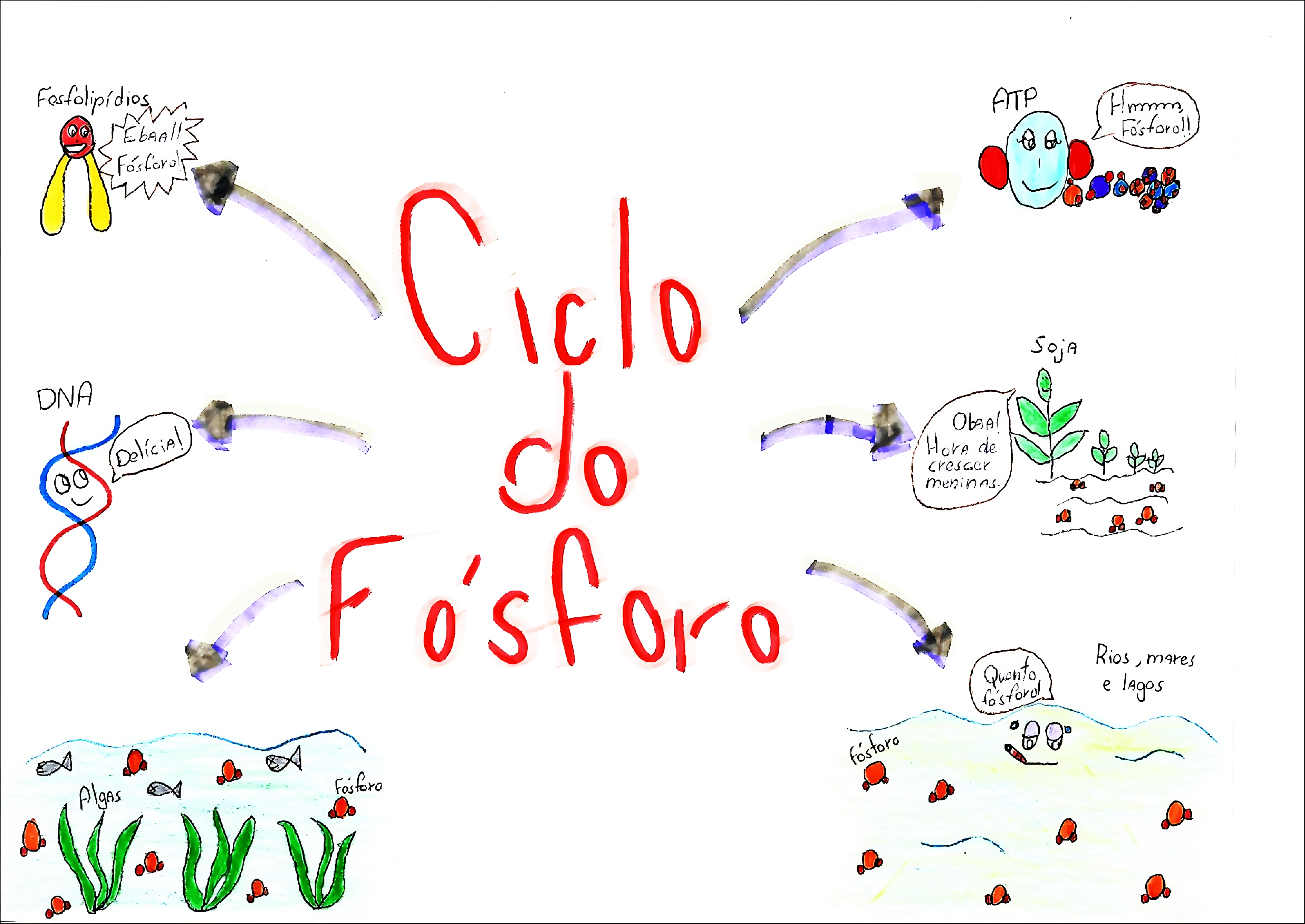 MAPA MENTAL SOBRE CICLO DO FOSFORO