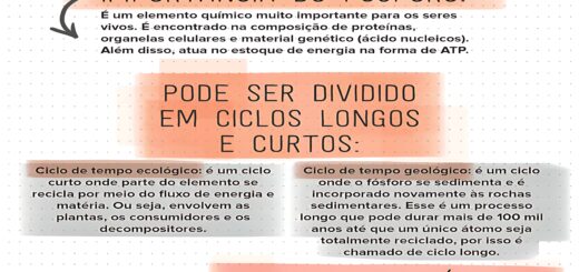 MAPA MENTAL SOBRE CICLO DO FOSFORO