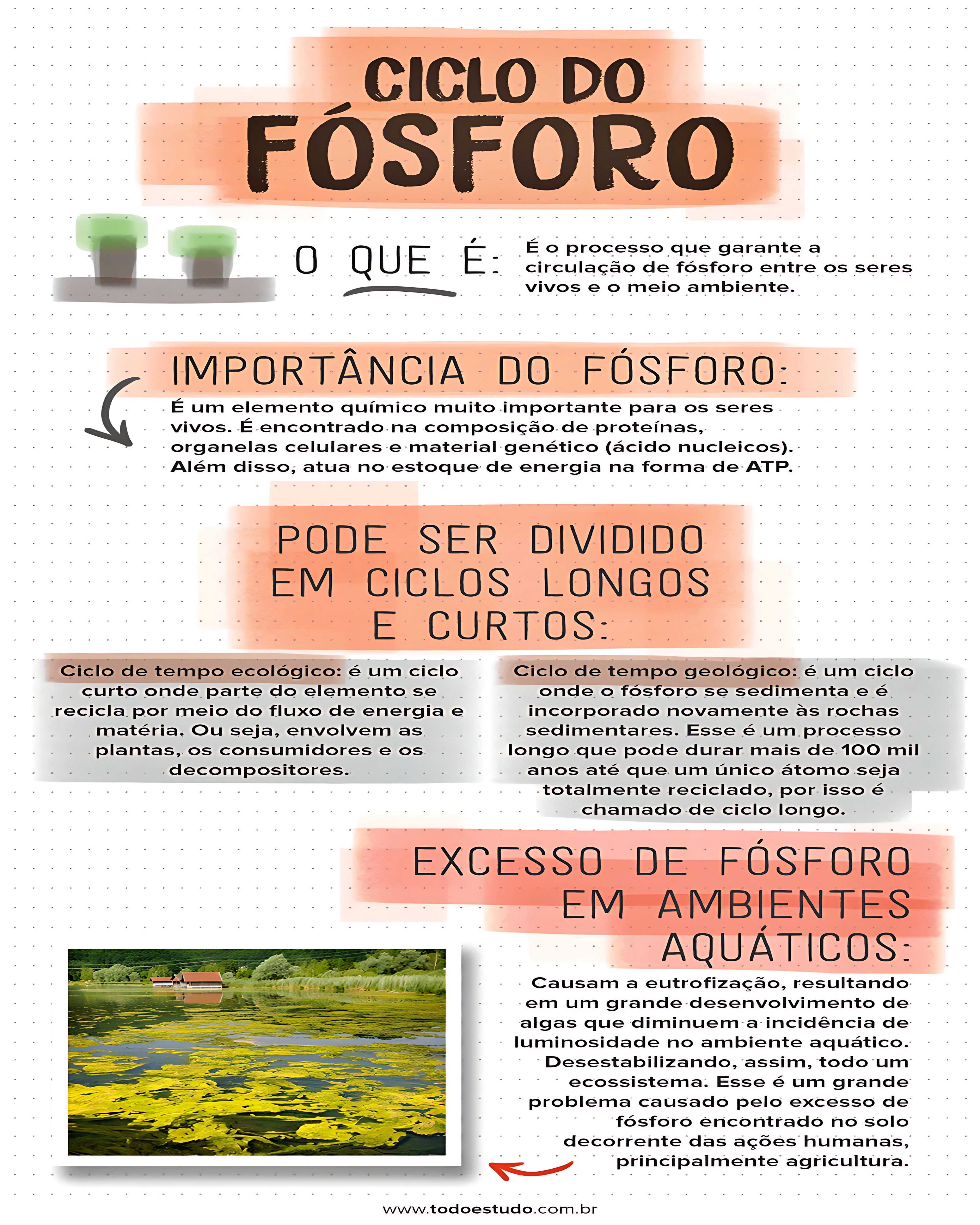 MAPA MENTAL SOBRE CICLO DO FOSFORO