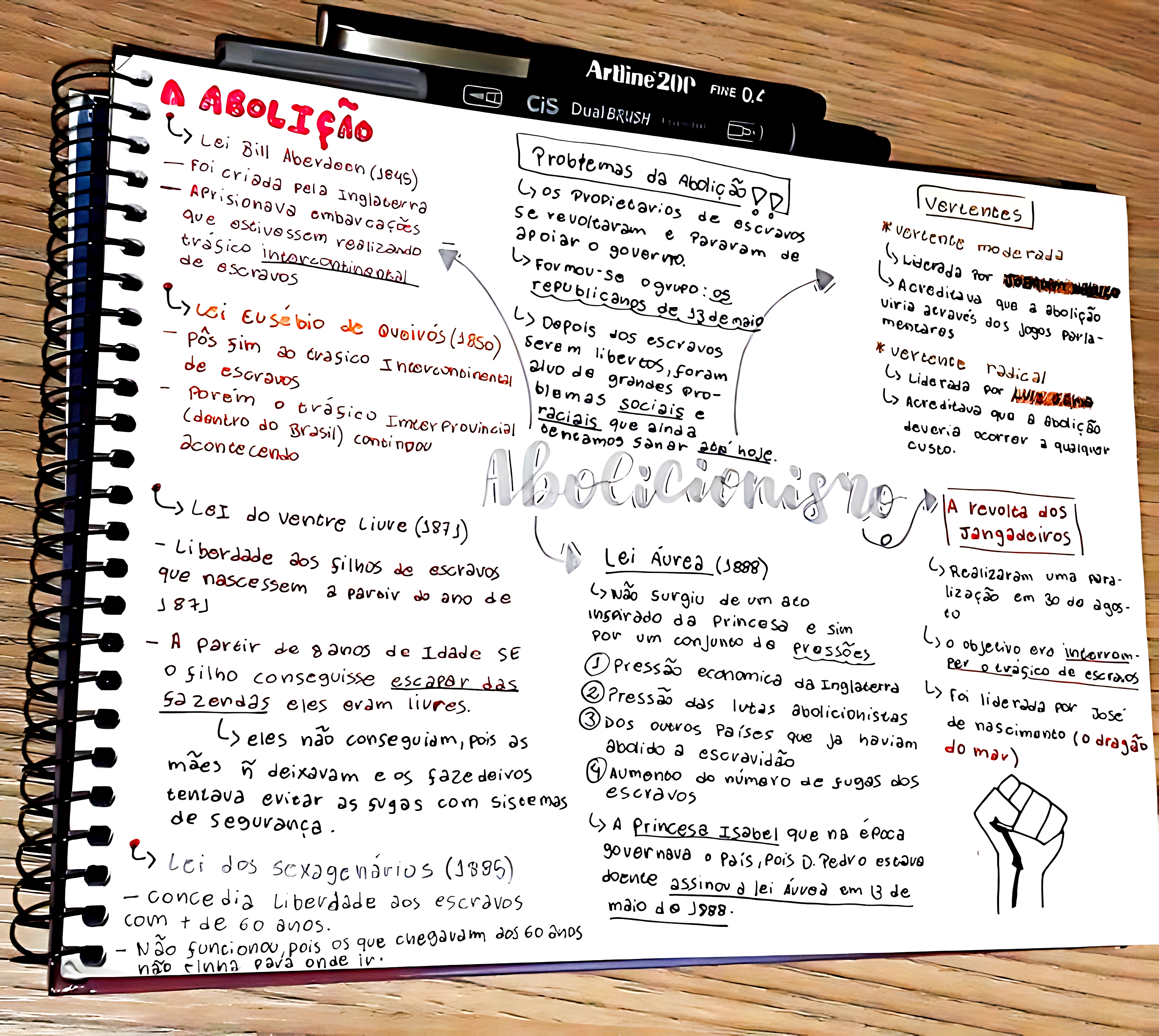 MAPA MENTAL SOBRE LEIS ABOLICIONISTAS