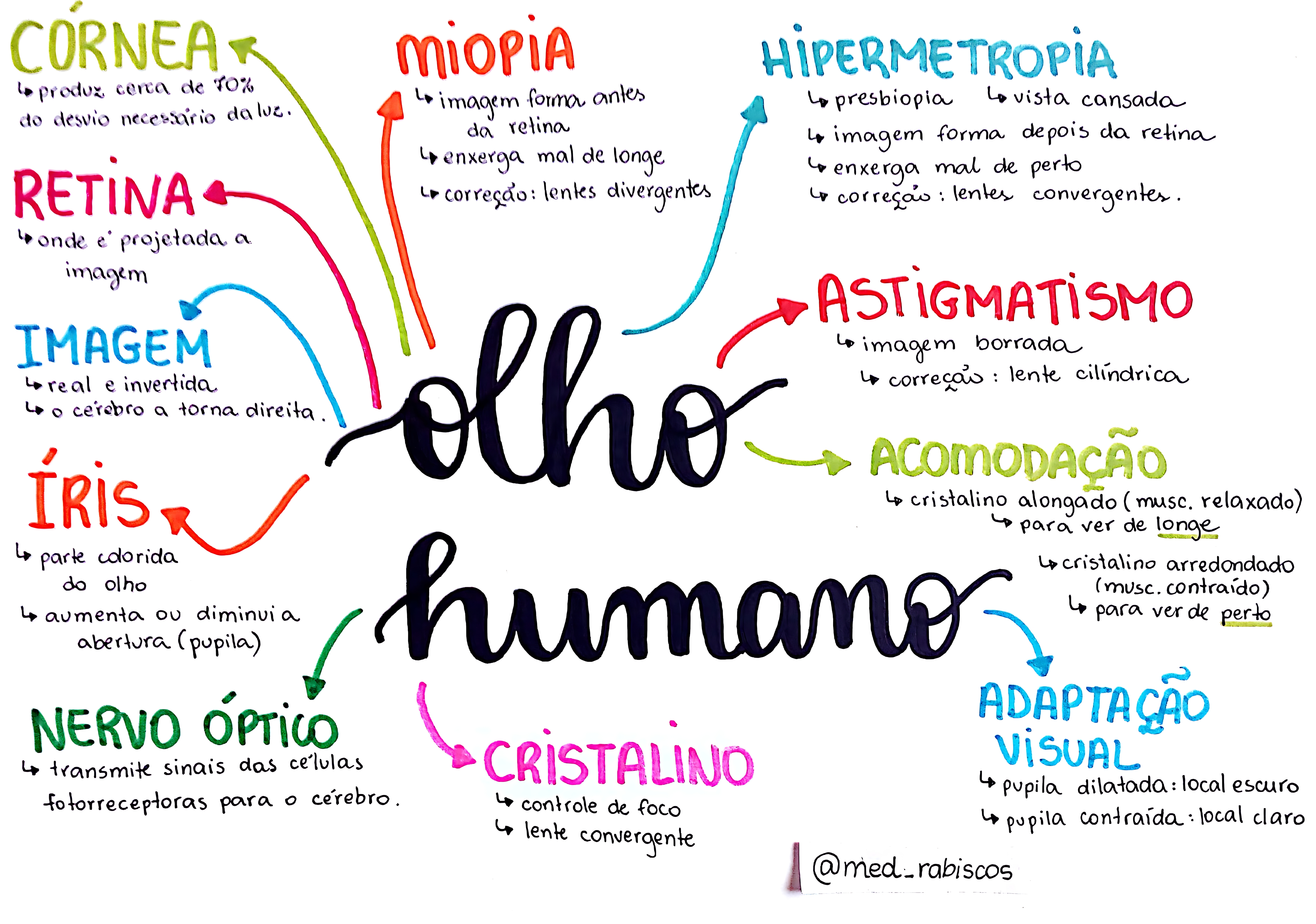 MAPA MENTAL SOBRE OLHO HUMANO