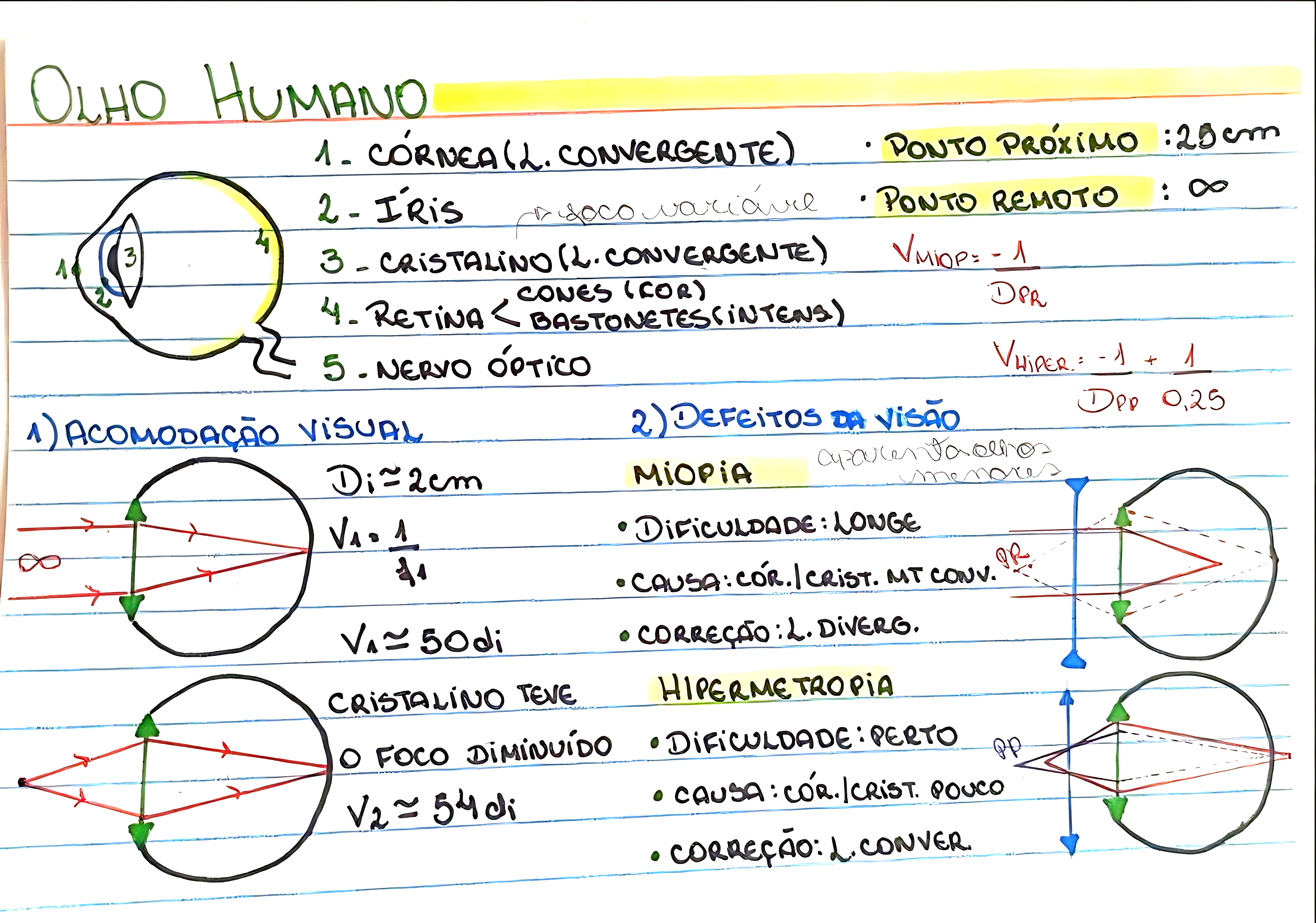 MAPA MENTAL SOBRE OLHO HUMANO