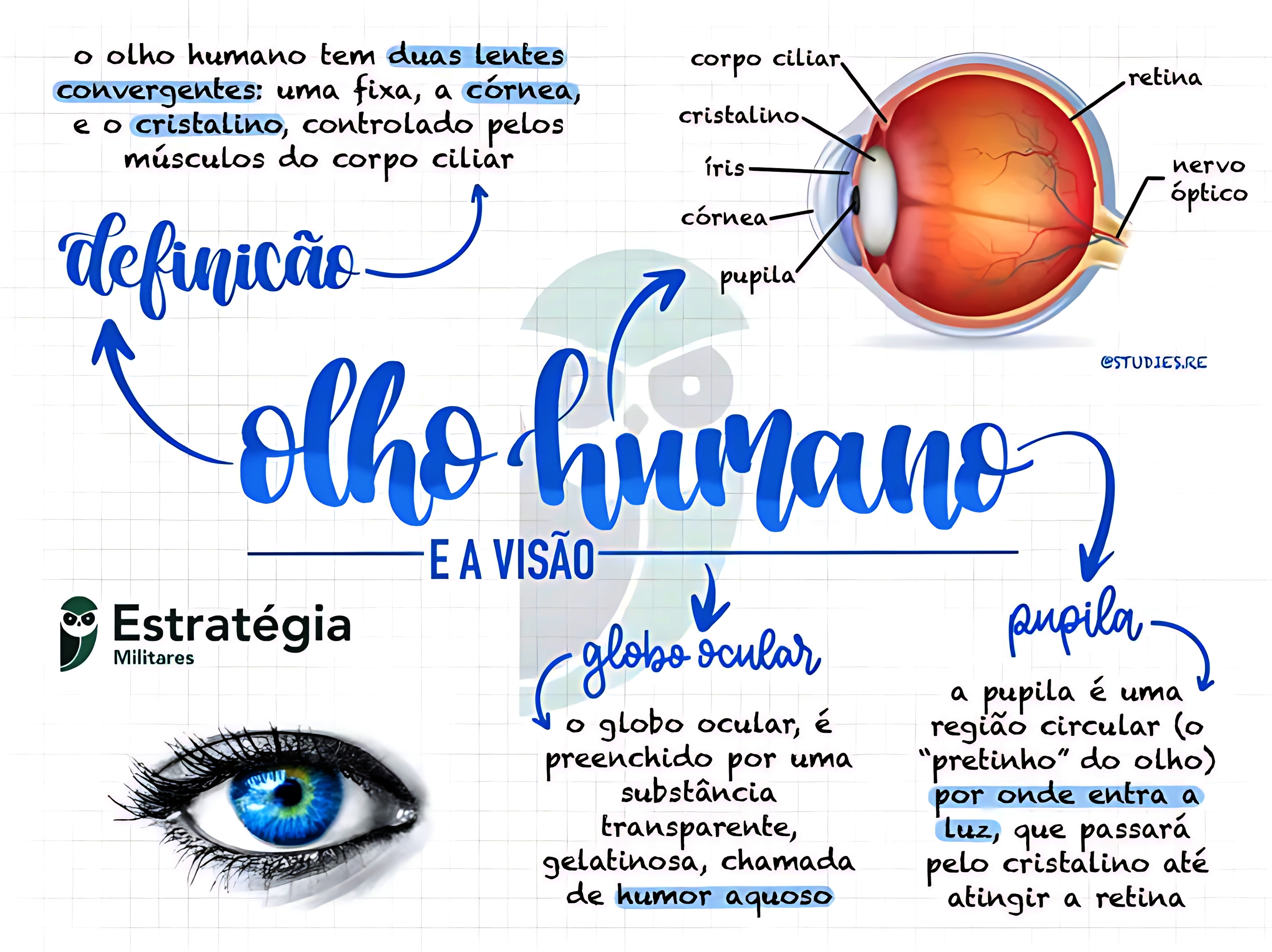 MAPA MENTAL SOBRE OLHO HUMANO