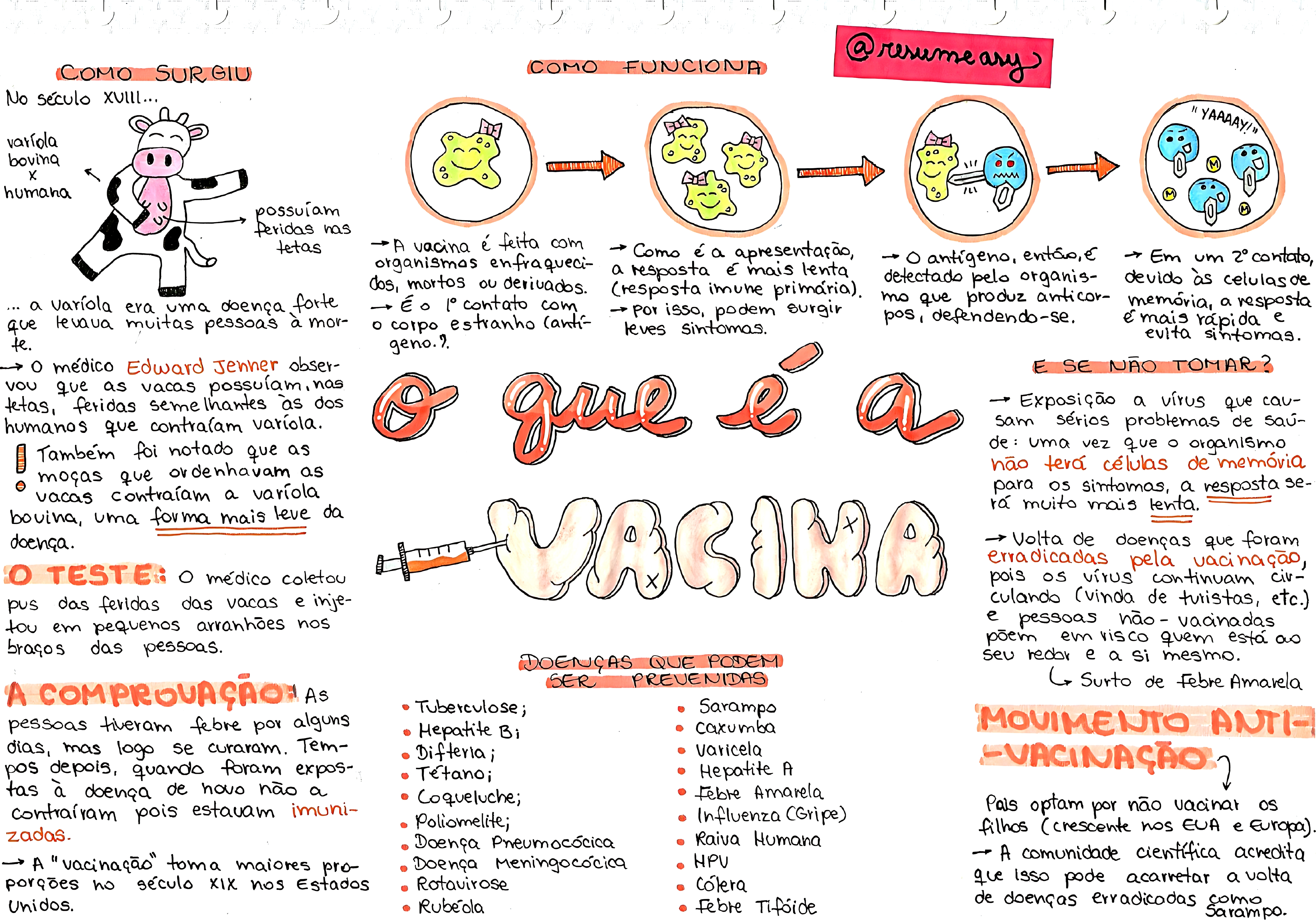 MAPA MENTAL SOBRE REVOLTA DA VACINA