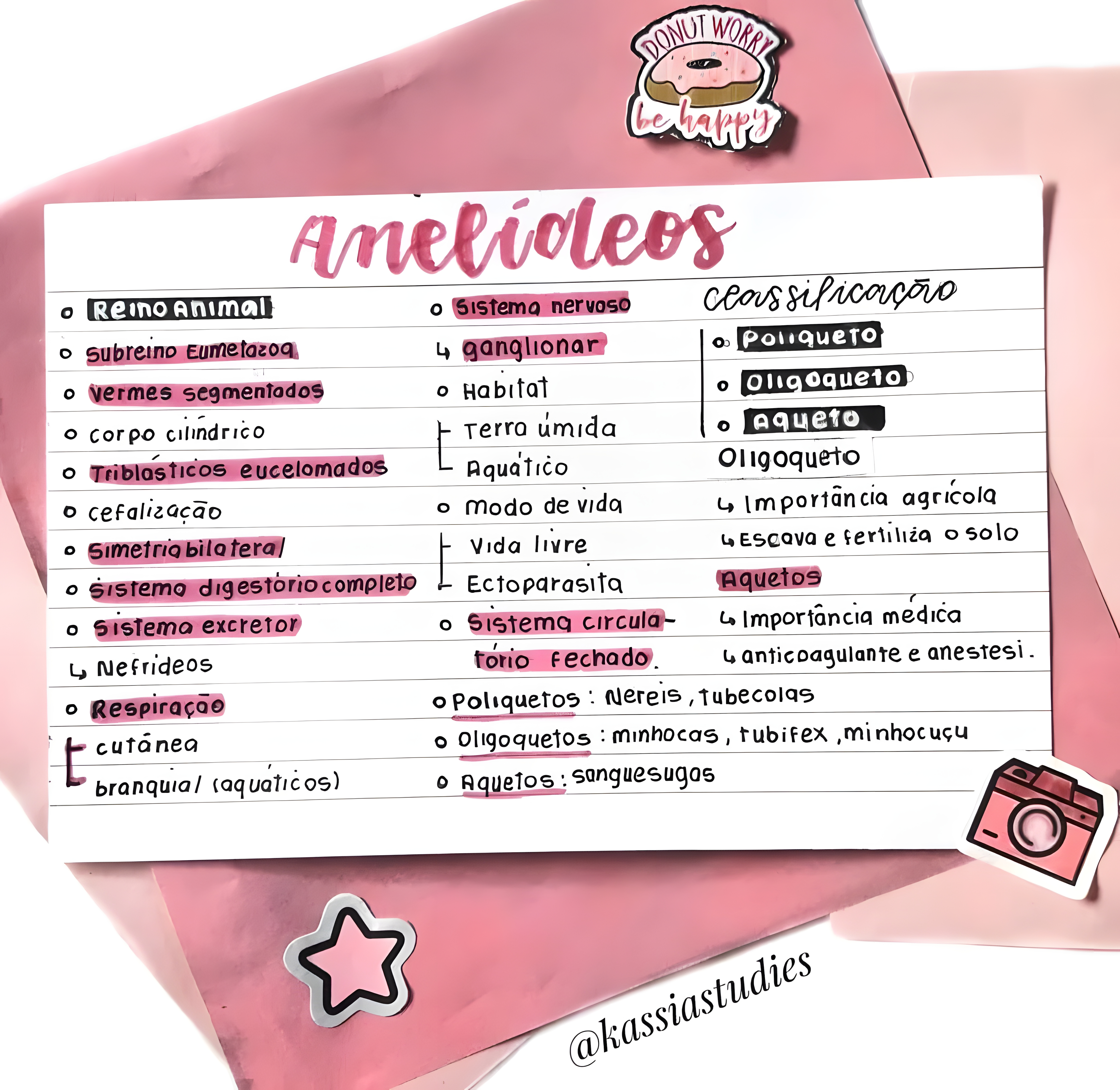 MAPA MENTAL SOBRE ANELIDEOS