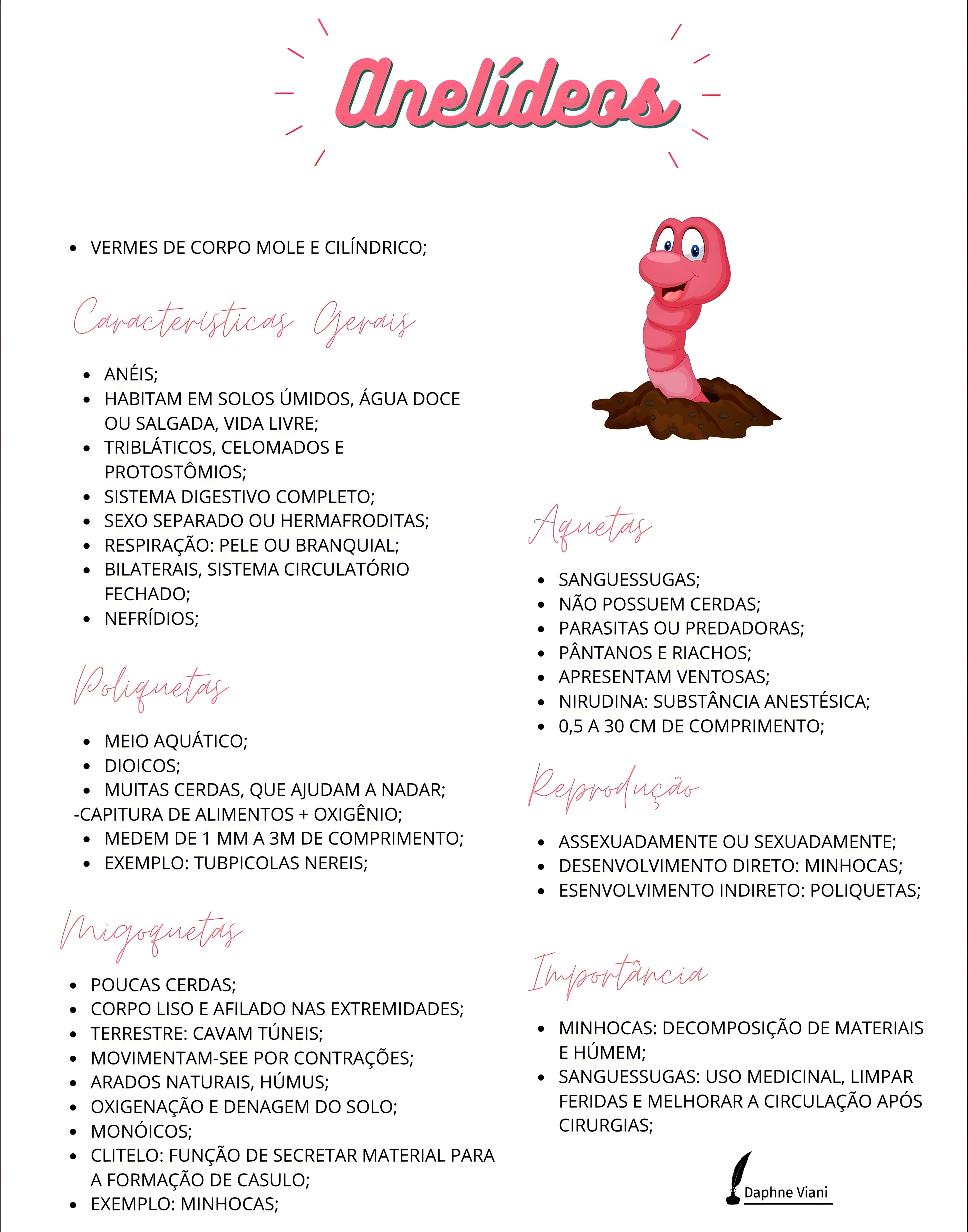 MAPA MENTAL SOBRE ANELIDEOS