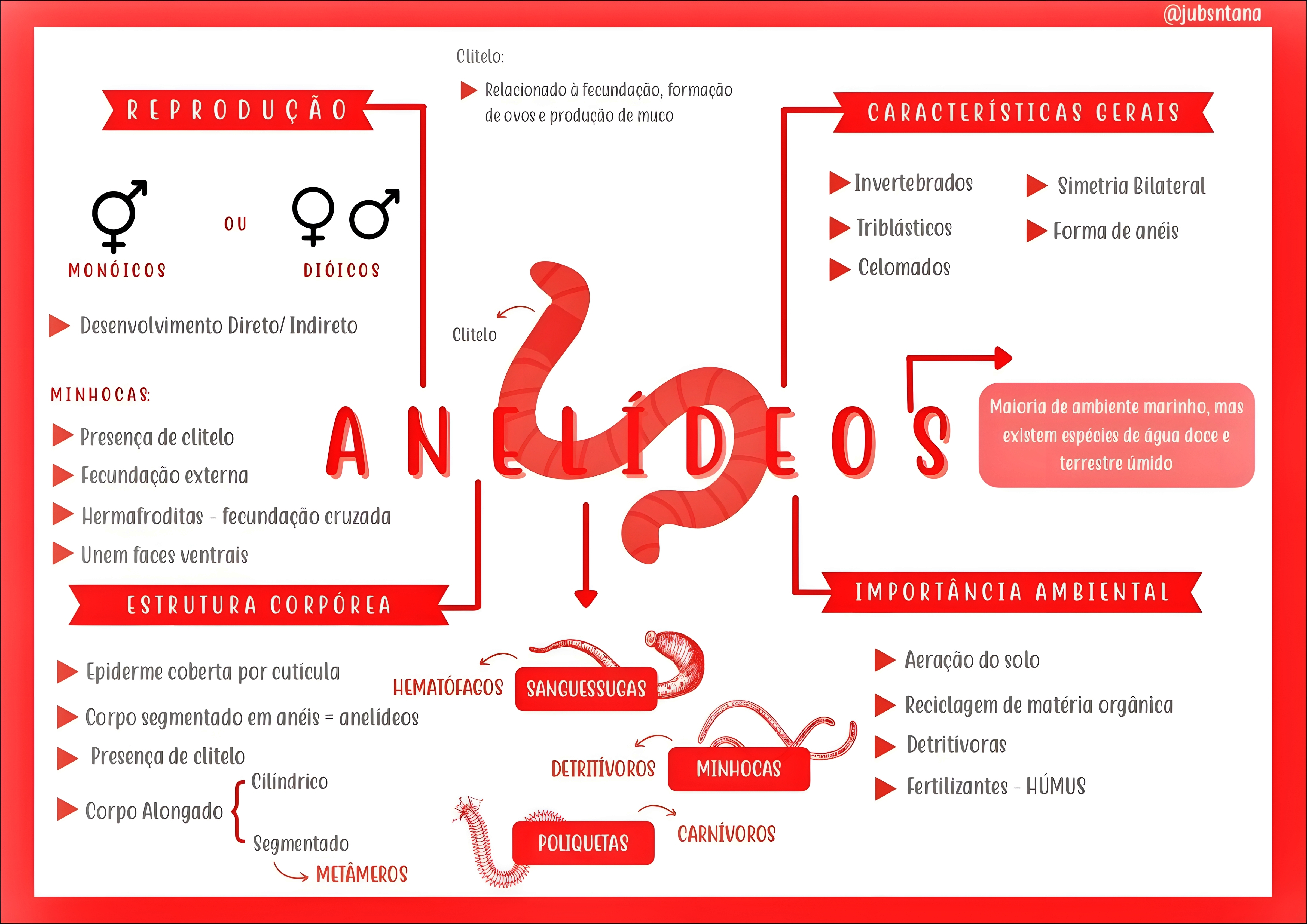 MAPA MENTAL SOBRE ANELIDEOS
