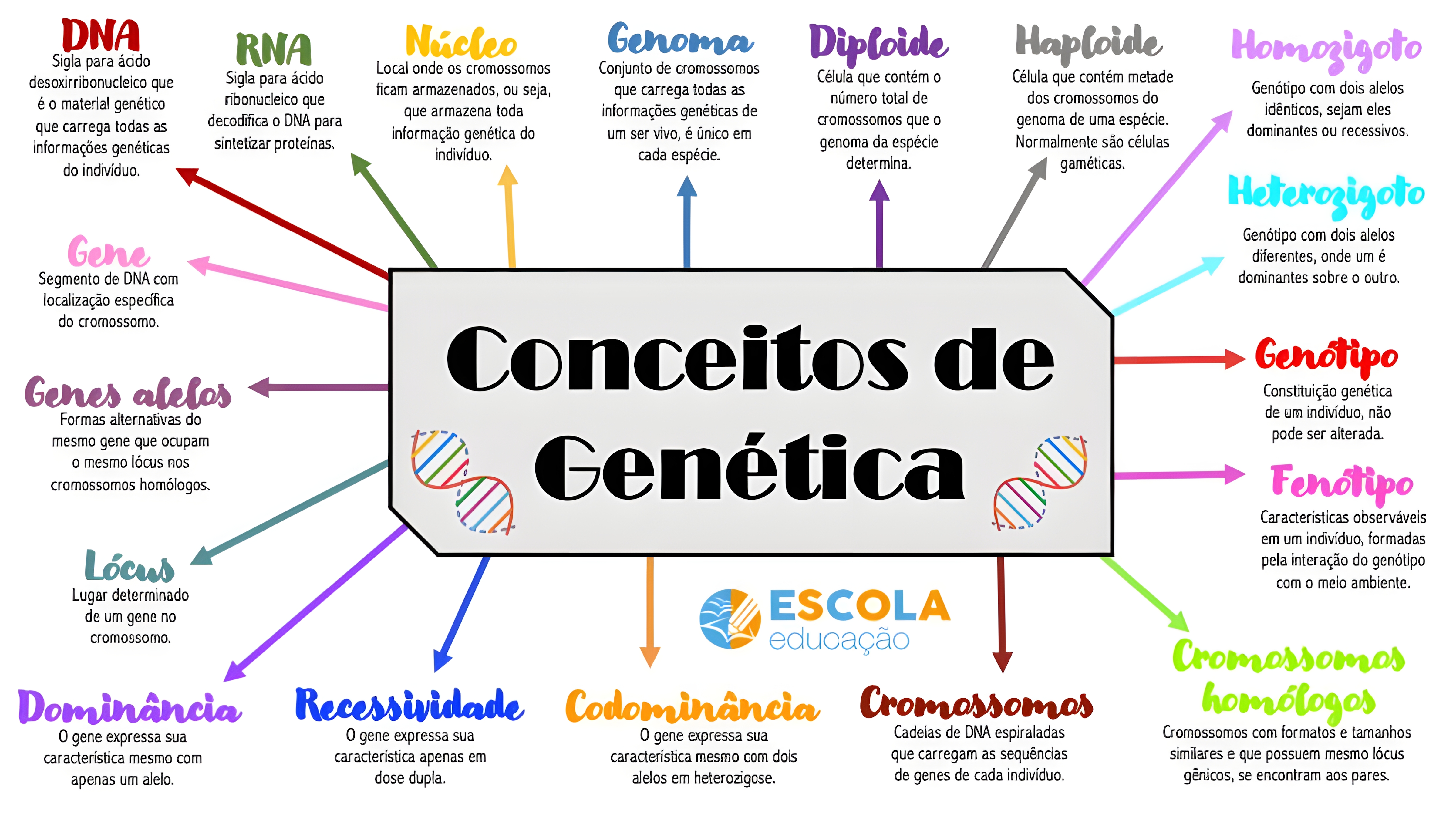 MAPA MENTAL SOBRE CONCEITOS DE GENETICA