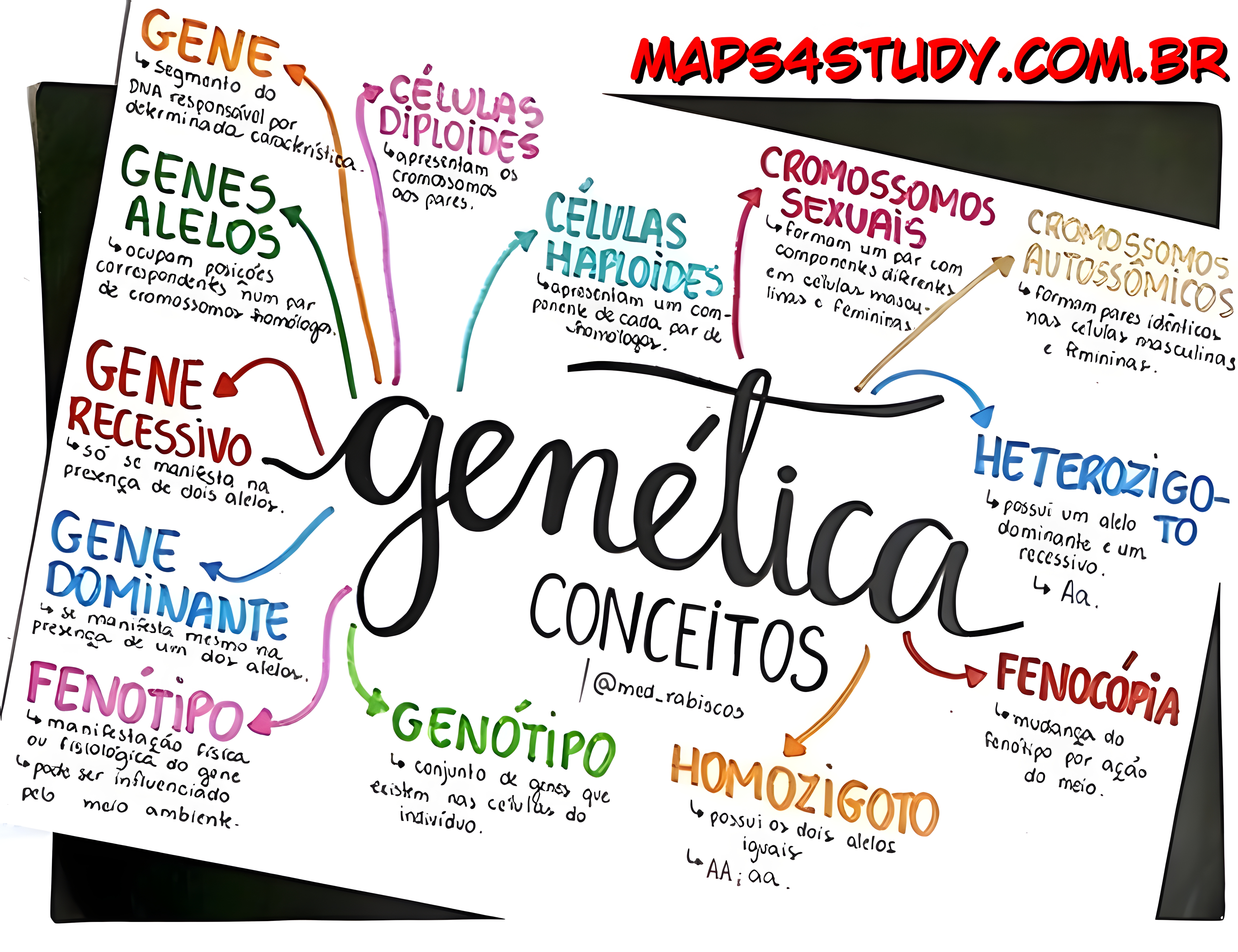 MAPA MENTAL SOBRE CONCEITOS DE GENETICA