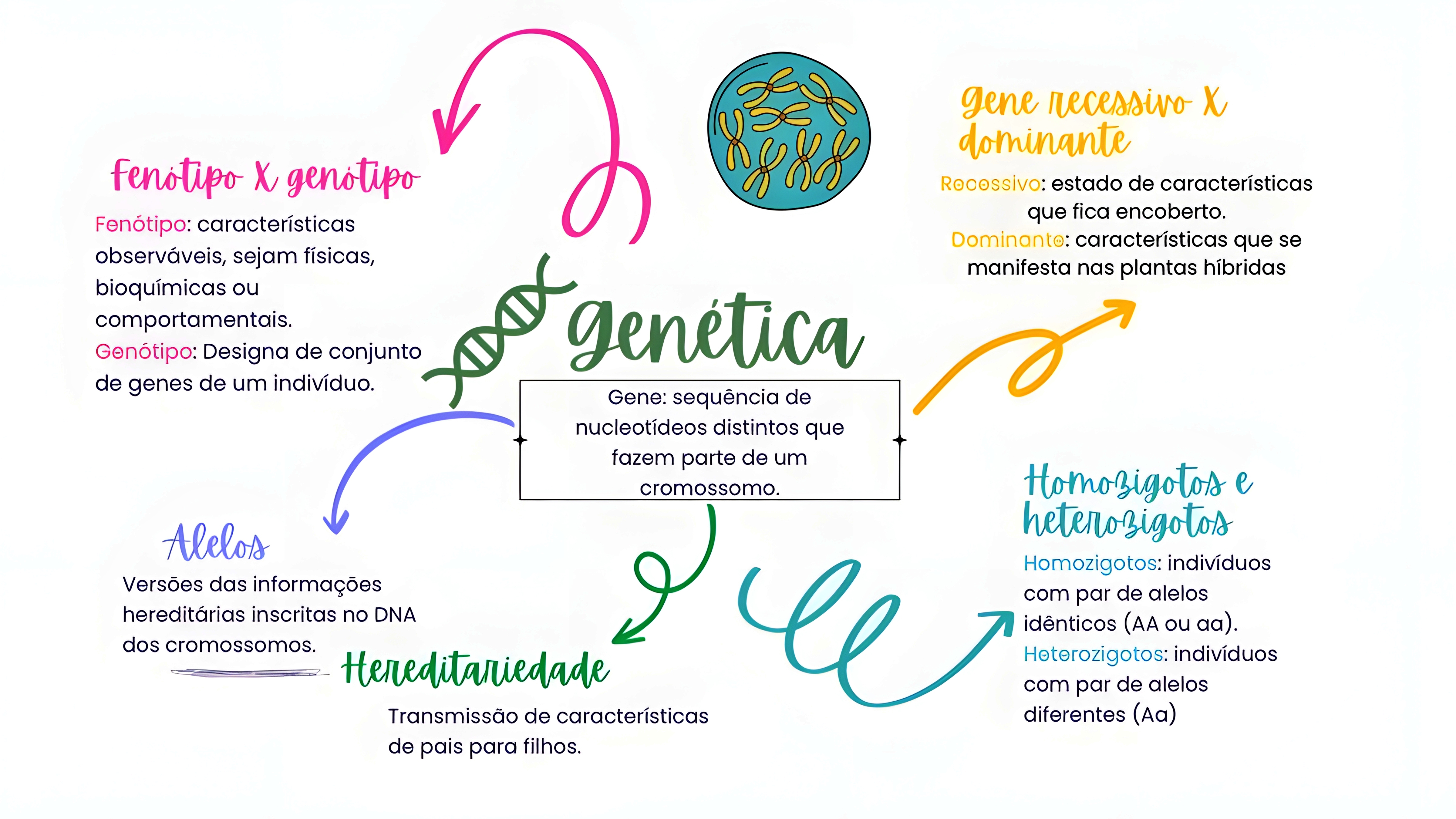 MAPA MENTAL SOBRE CONCEITOS DE GENETICA
